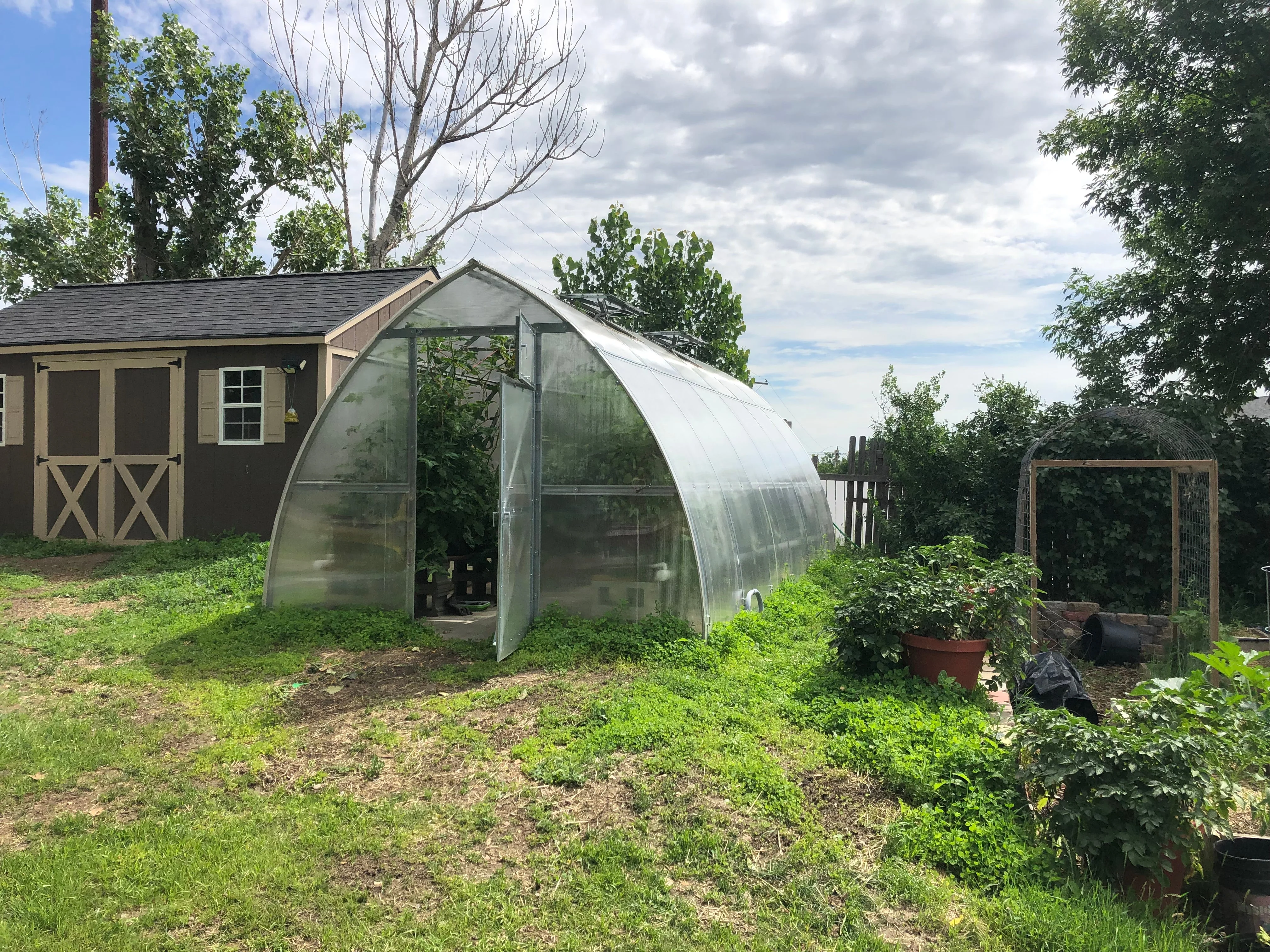 Sungrow 20 - Image 8