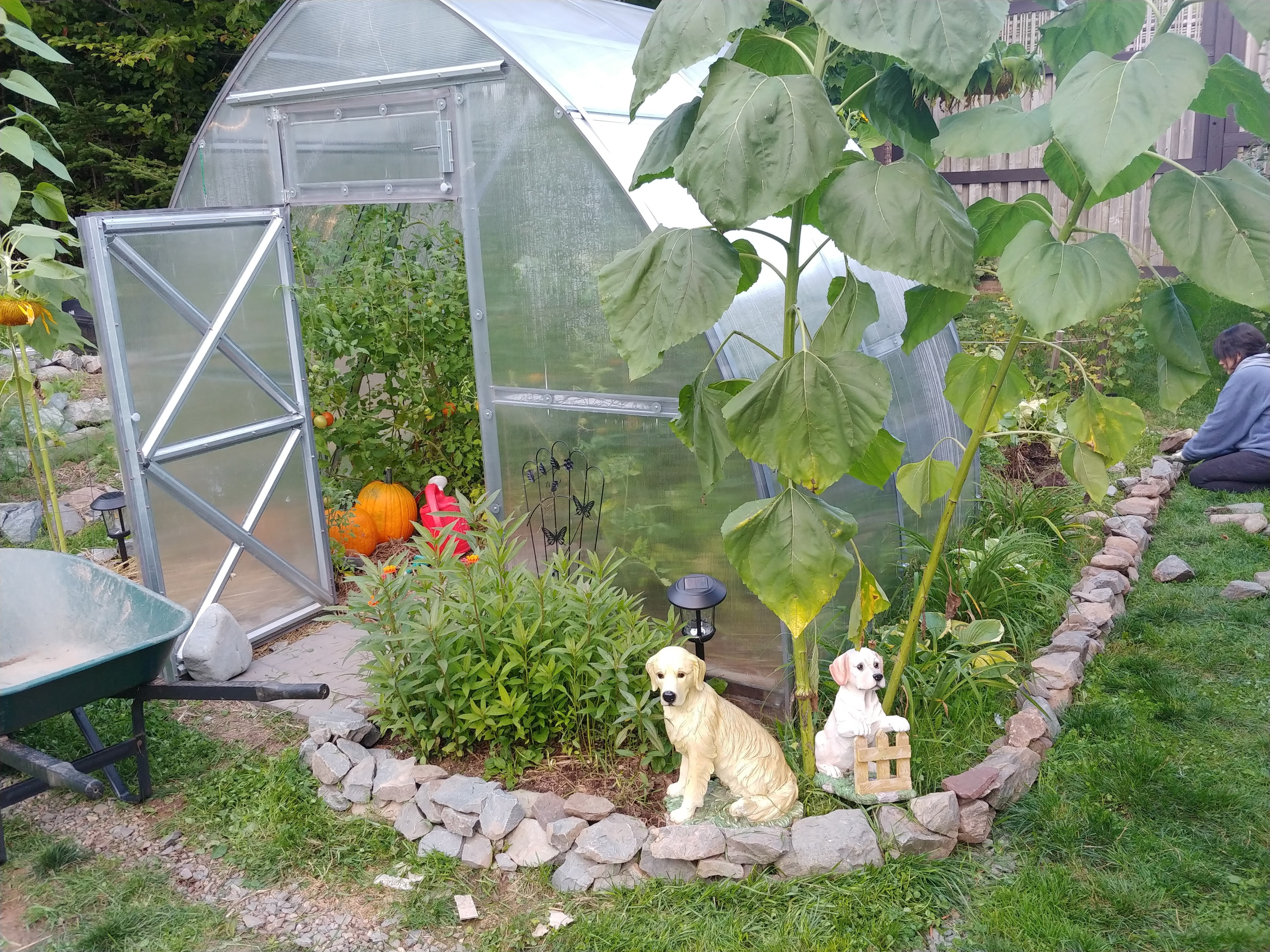 Sungrow Compact - Image 14