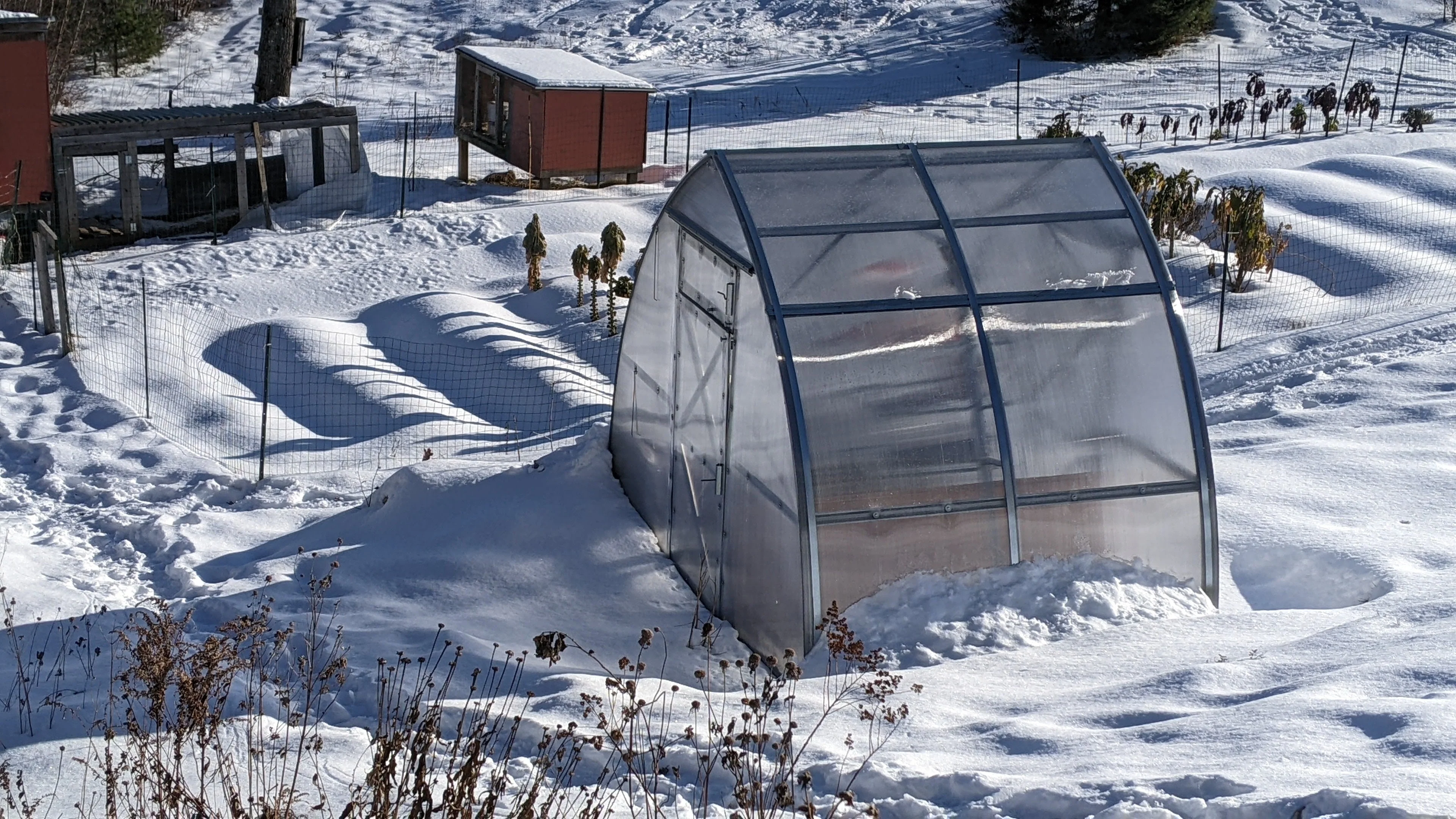 Sungrow Compact - Image 17