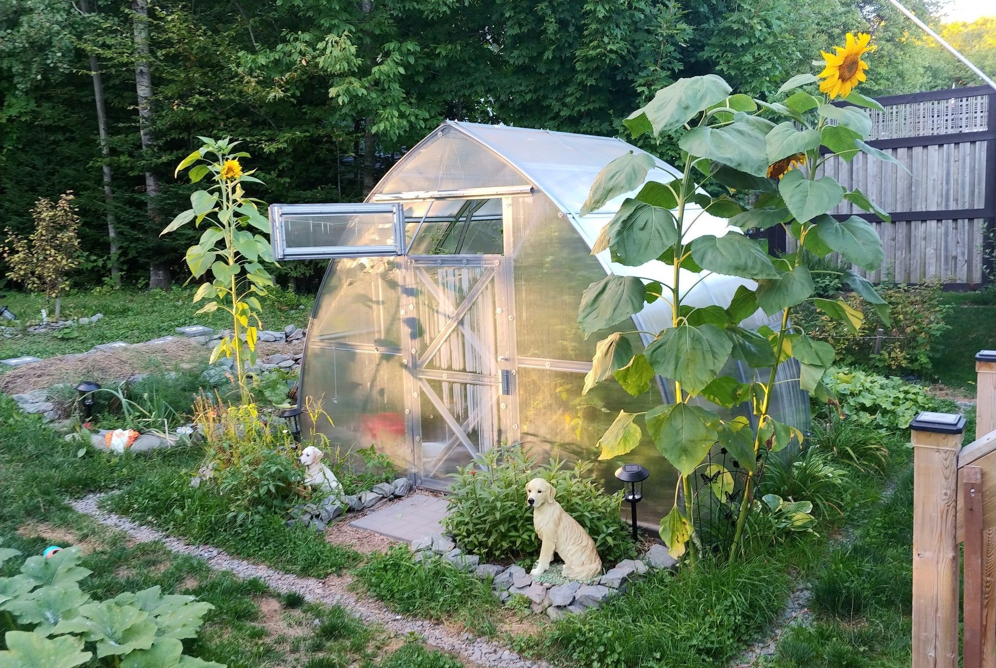 Sungrow Compact - Image 3