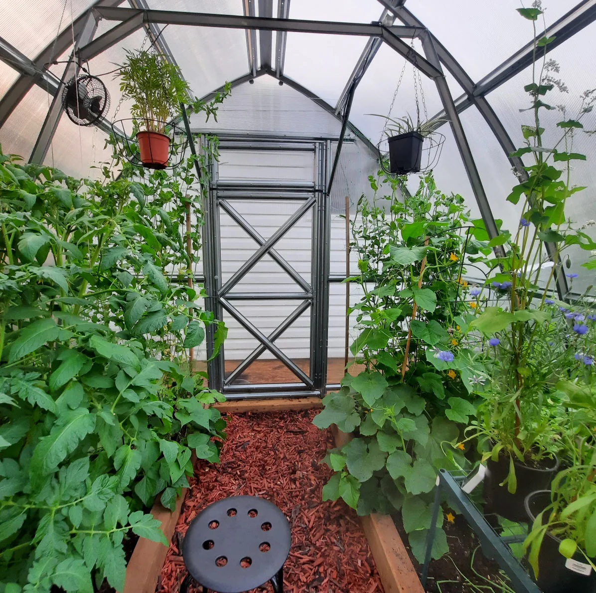 Sungrow Compact - Image 5
