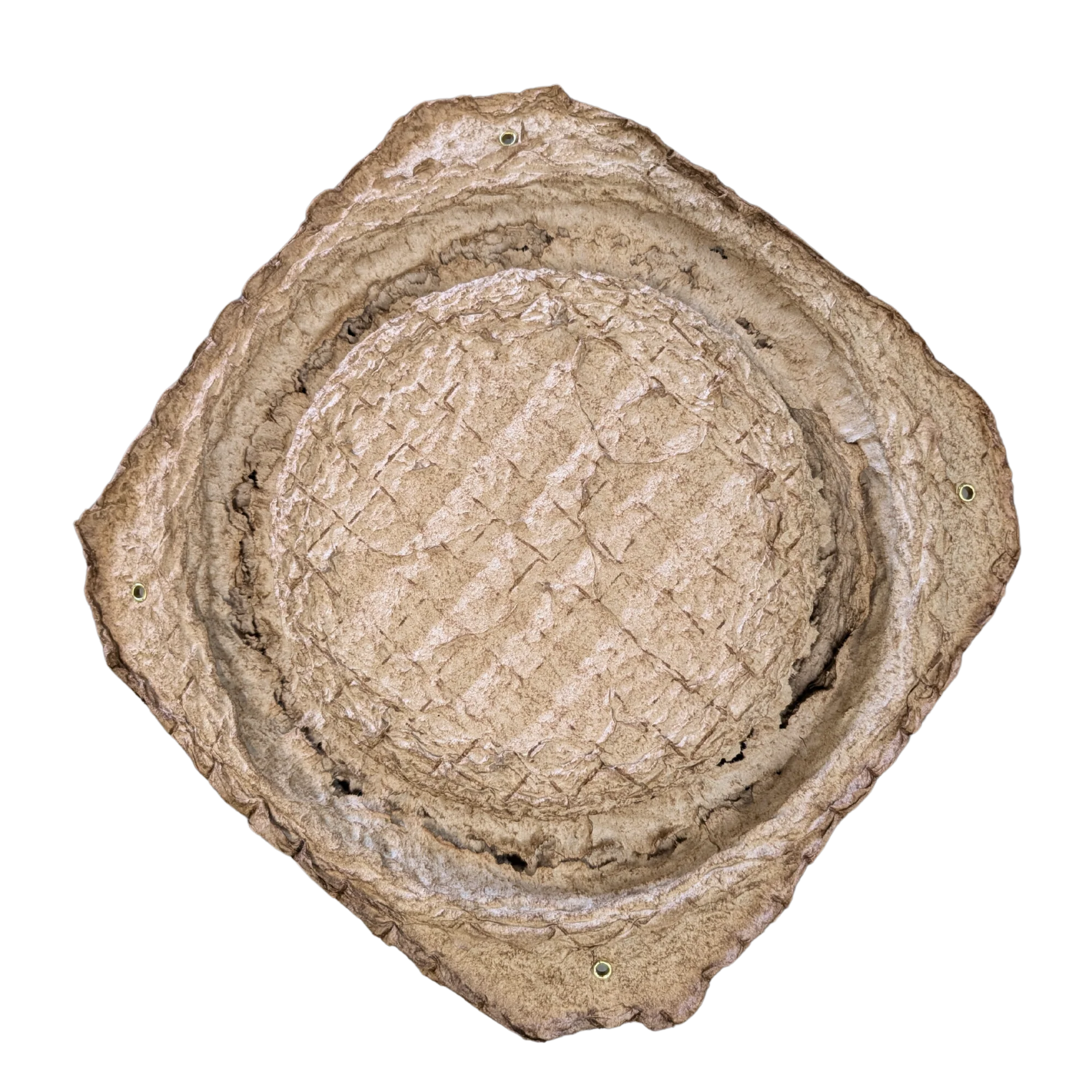 Swarm Trap - Pressed Flower Pot Style - Image 5