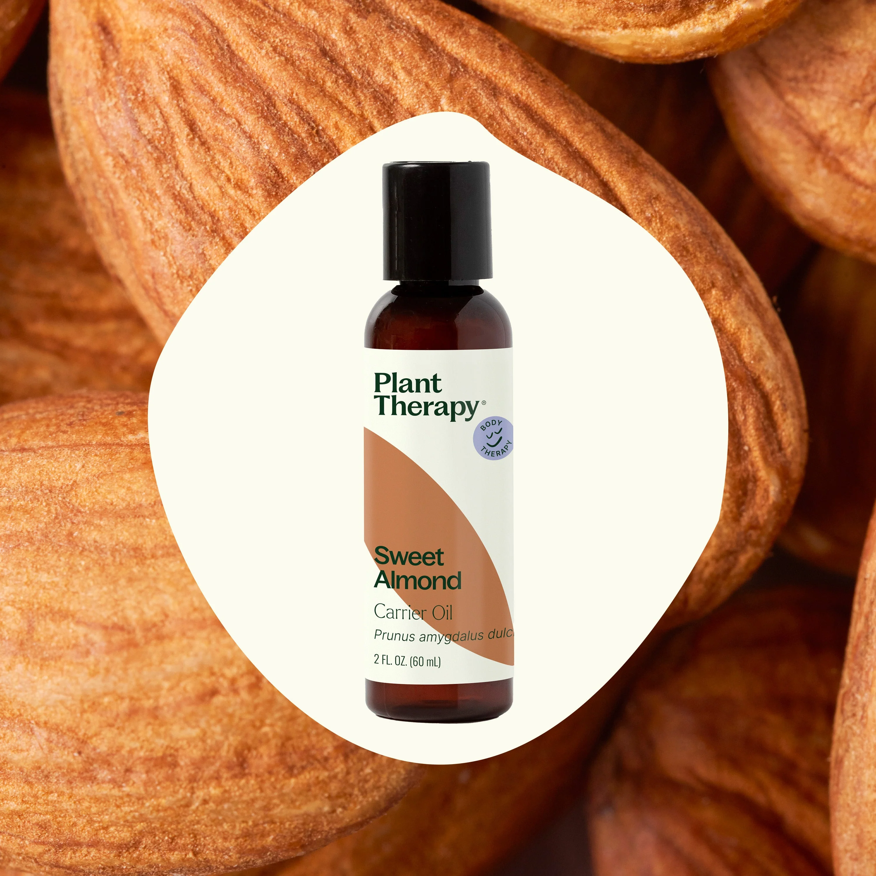Sweet Almond Carrier Oil - Image 2