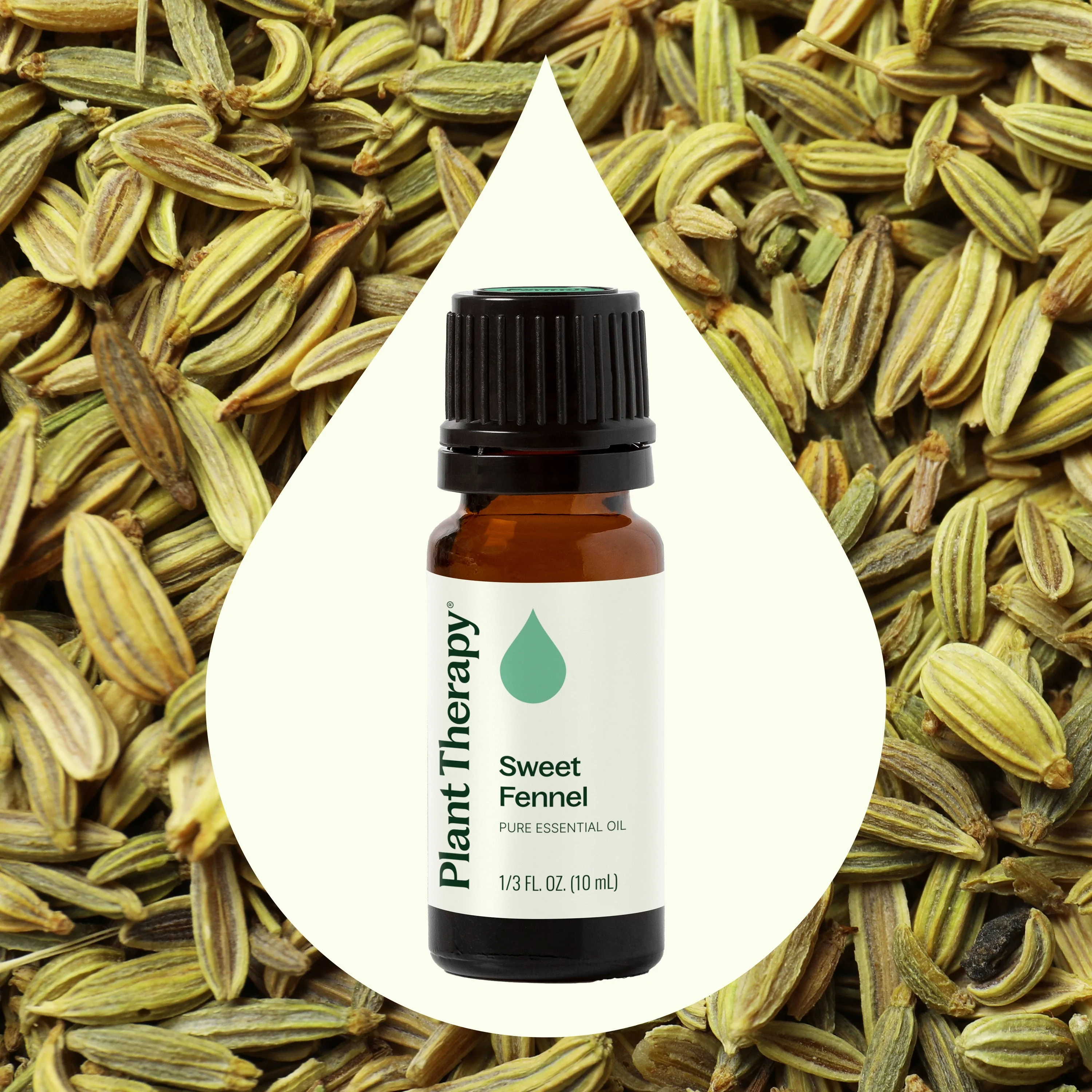 Sweet Fennel Essential Oil - Image 2