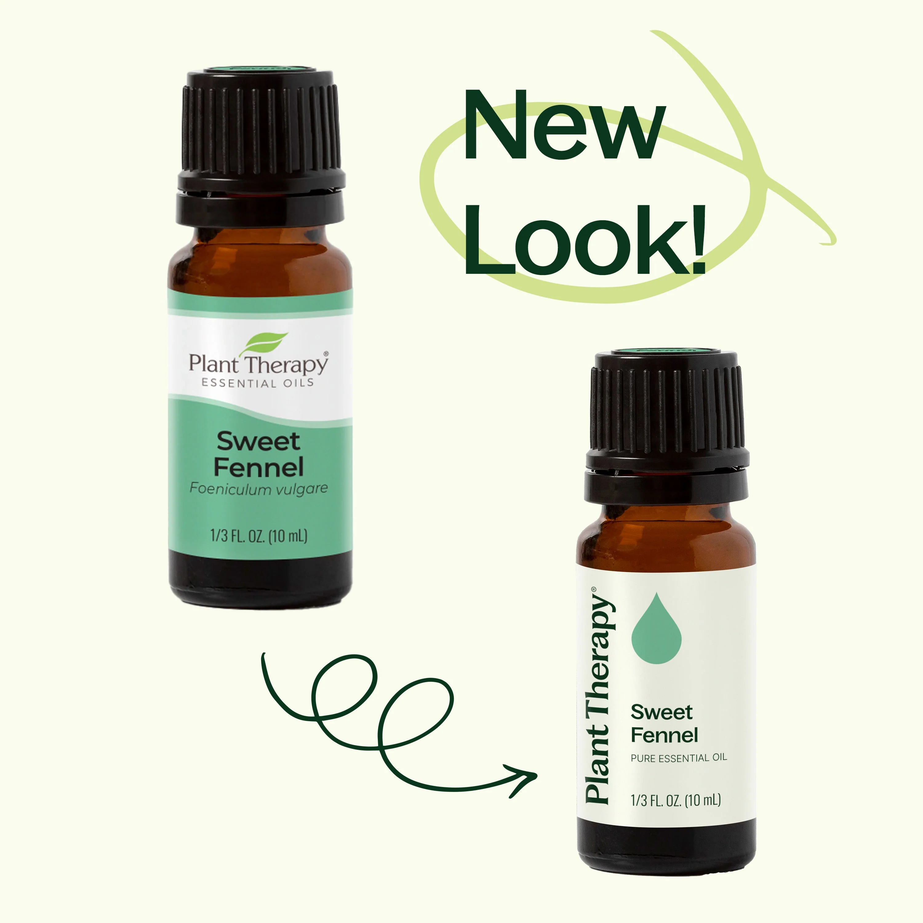 Sweet Fennel Essential Oil - Image 3