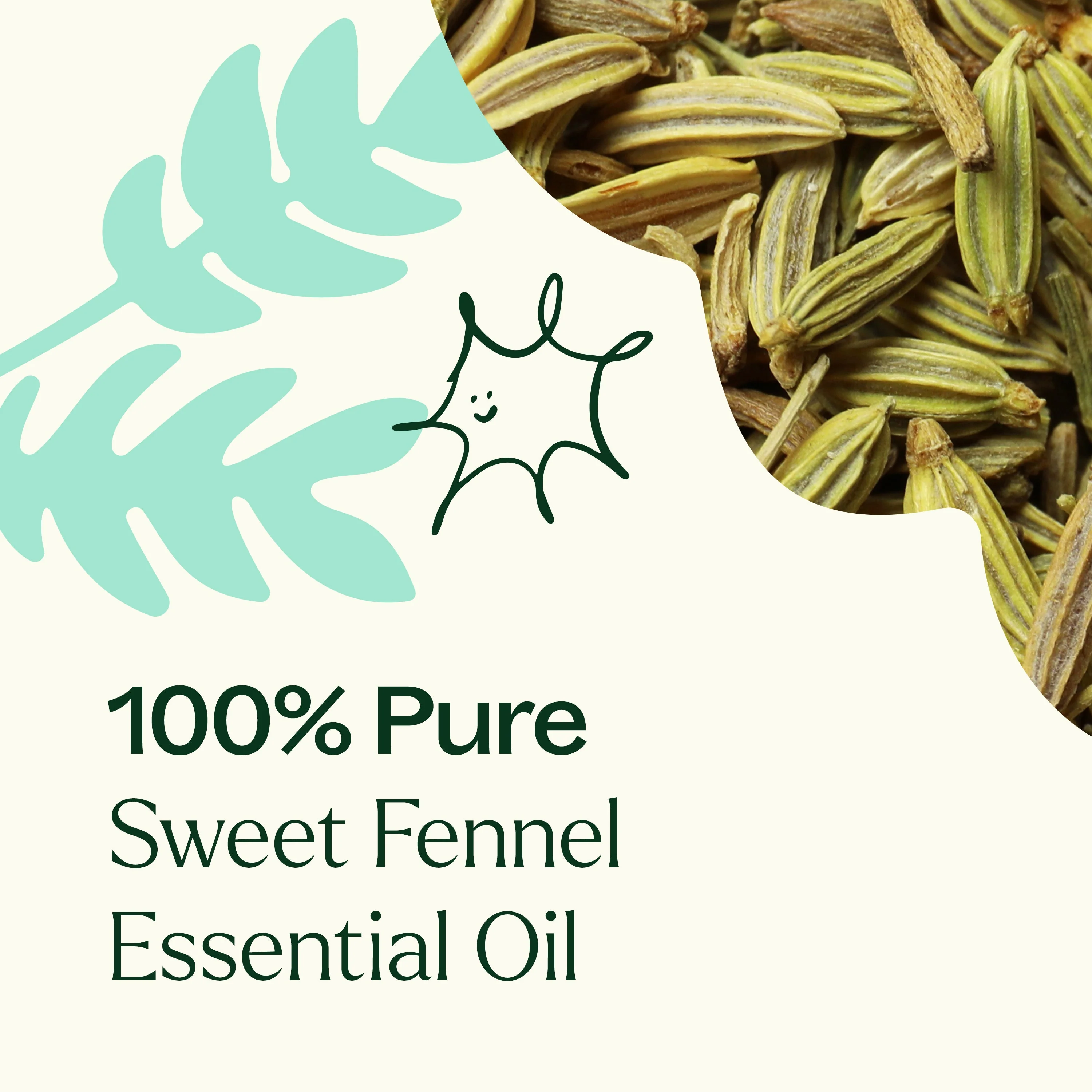 Sweet Fennel Essential Oil - Image 7