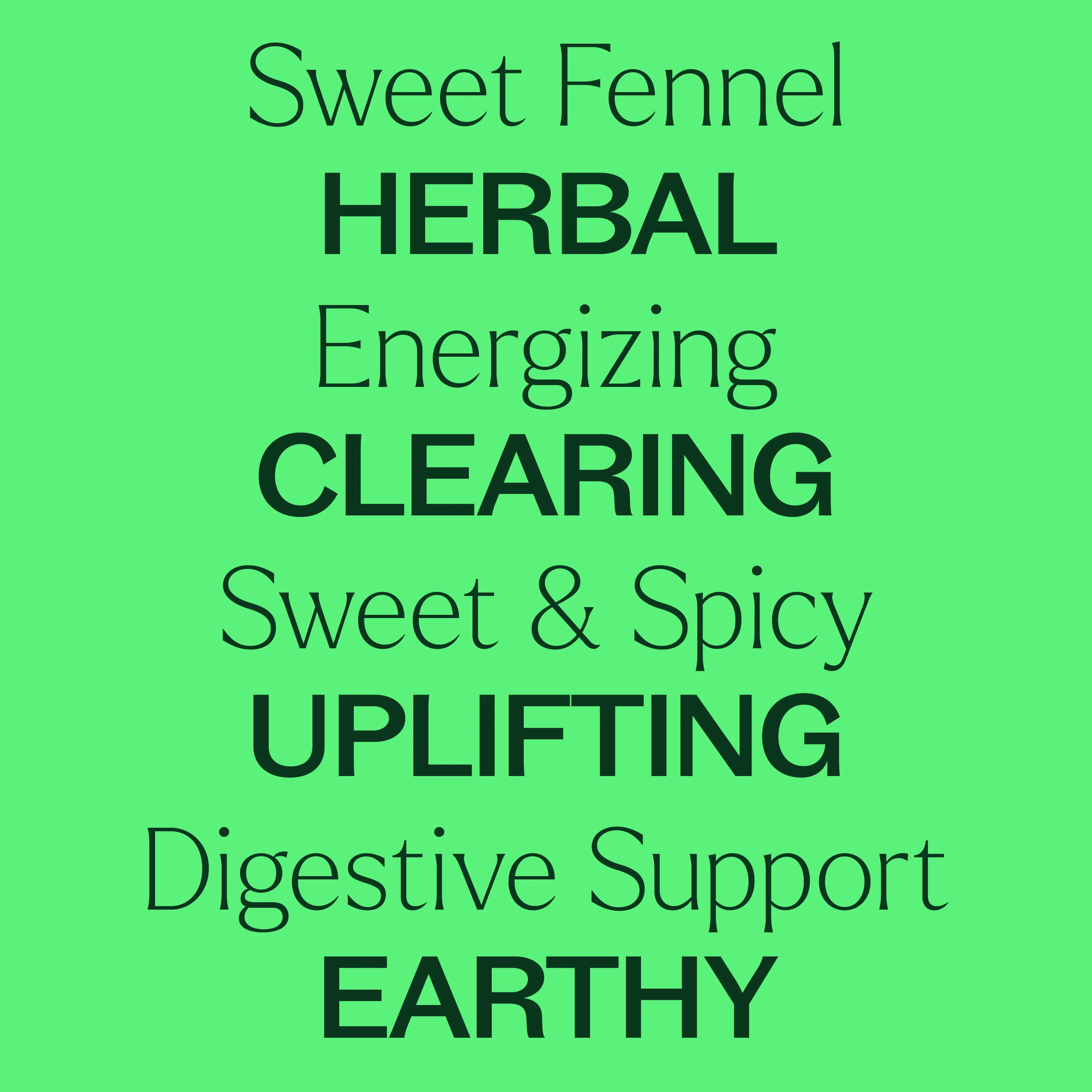 Sweet Fennel Essential Oil - Image 8