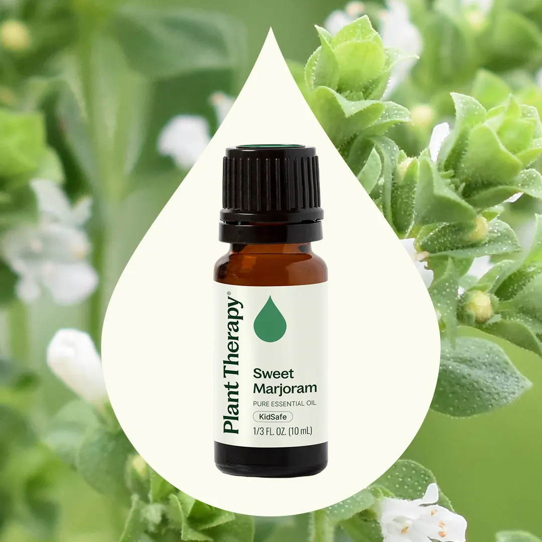 Sweet Marjoram Essential Oil - Image 2