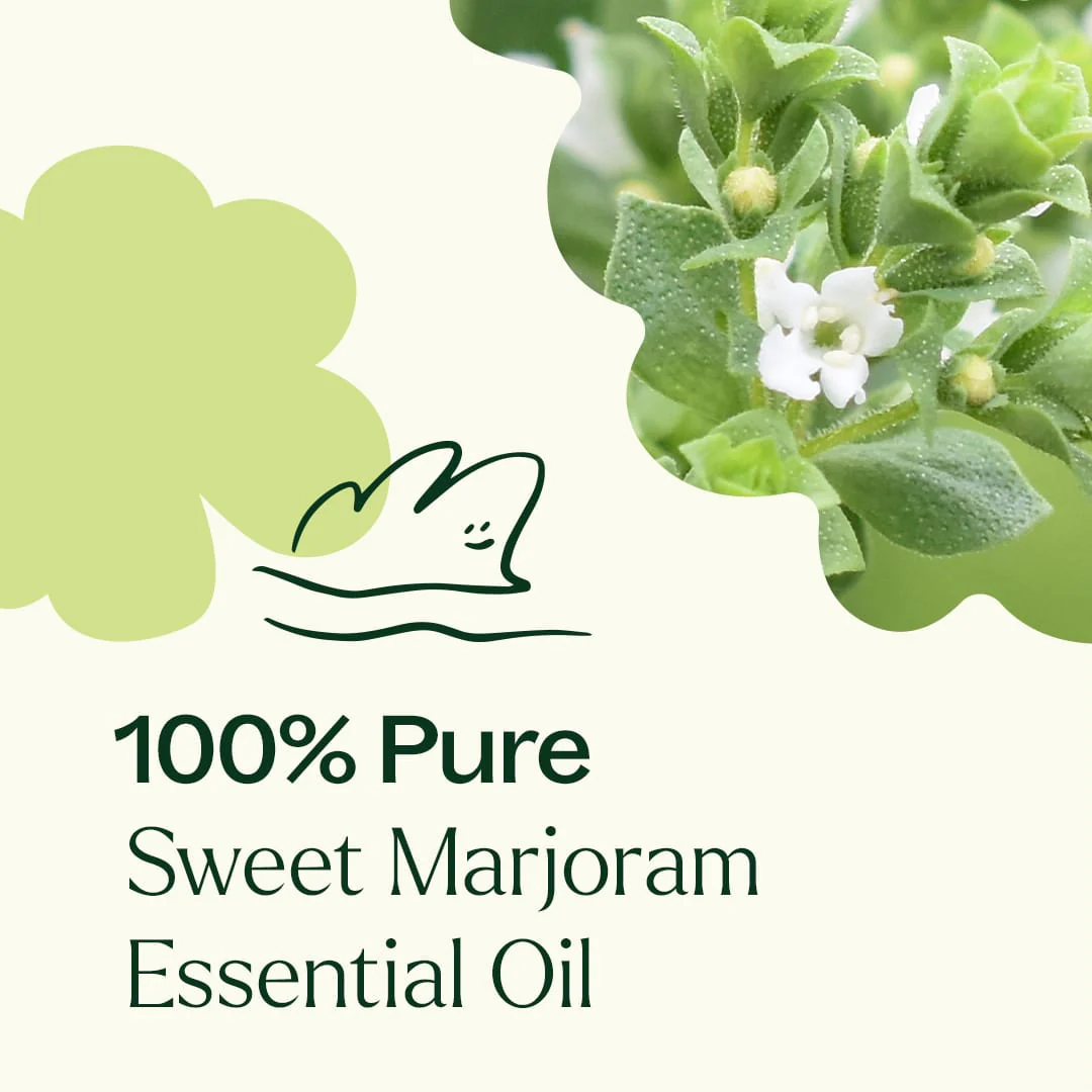 Sweet Marjoram Essential Oil - Image 5