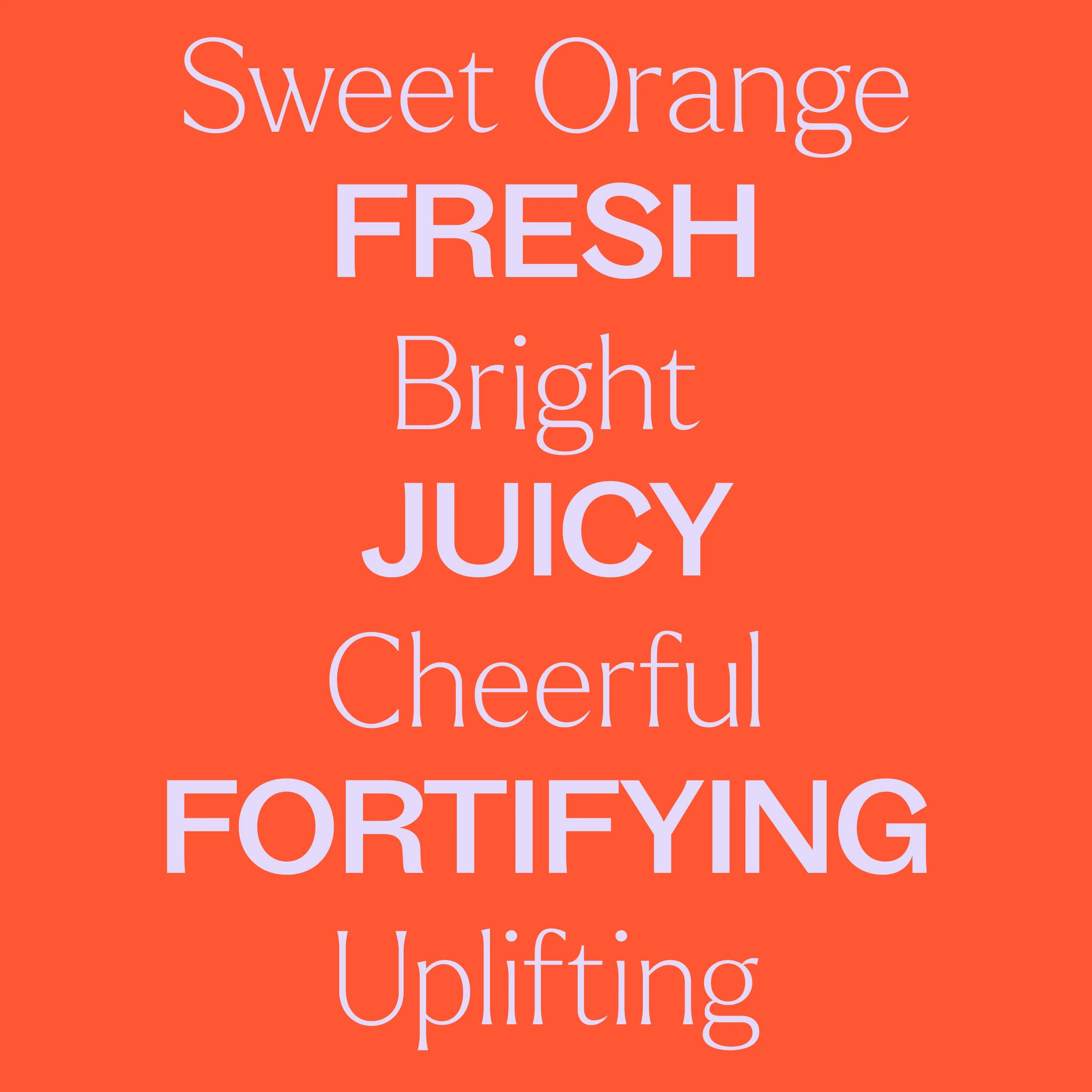 Sweet Orange Body Oil - Image 5