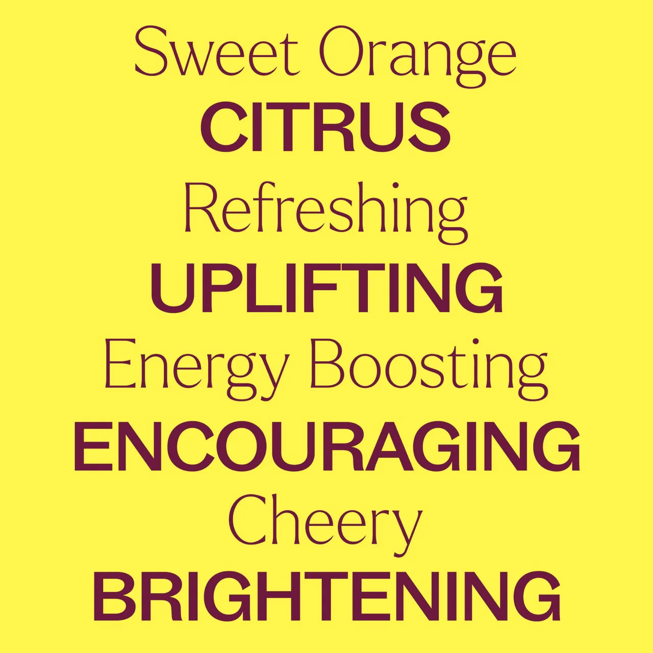 Sweet Orange Essential Oil - Image 4
