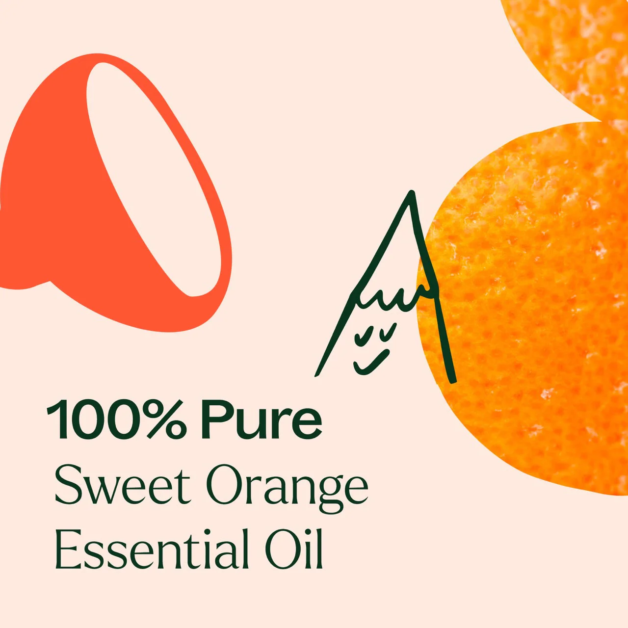 Sweet Orange Essential Oil - Image 5