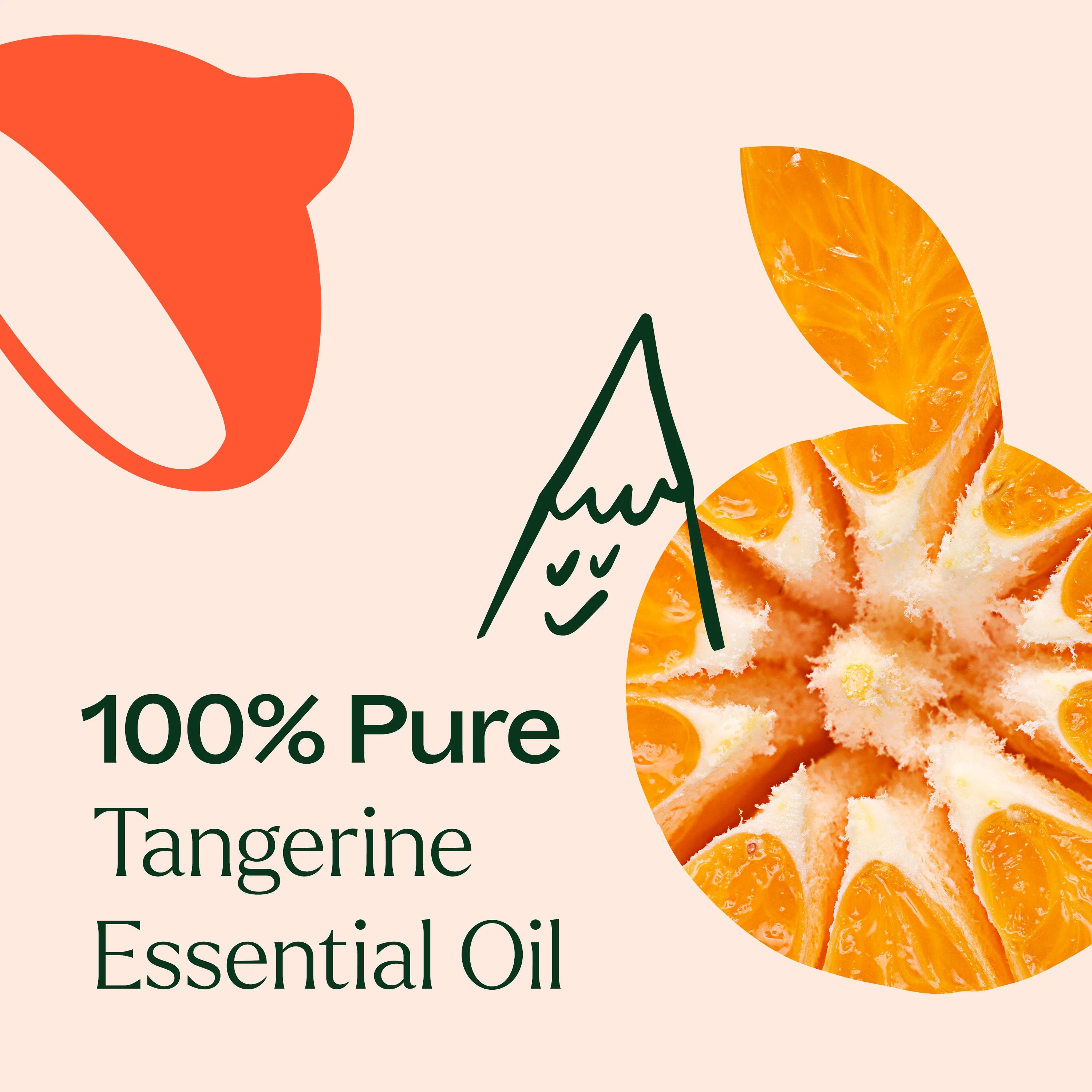 Tangerine Essential Oil - Image 3