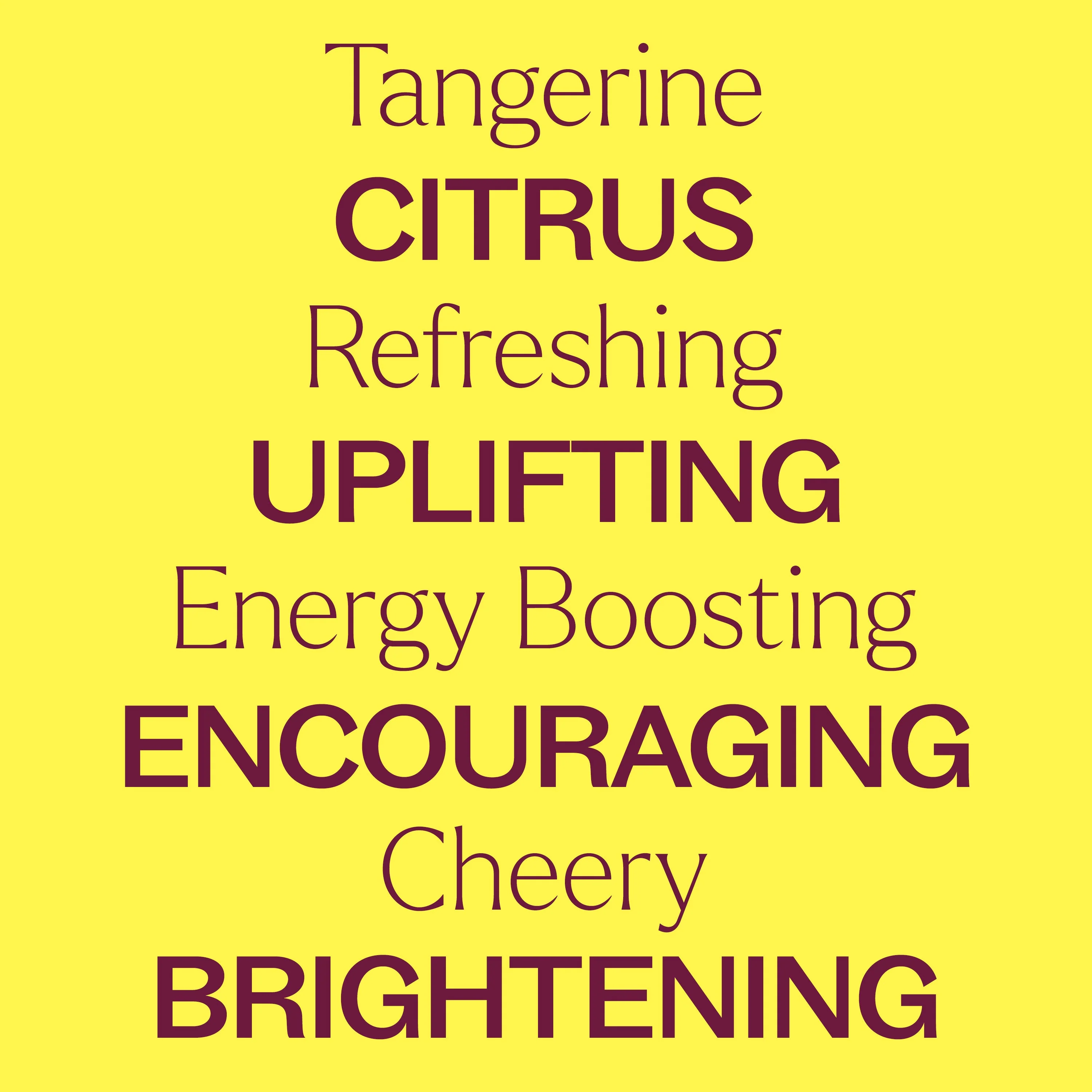 Tangerine Essential Oil - Image 5