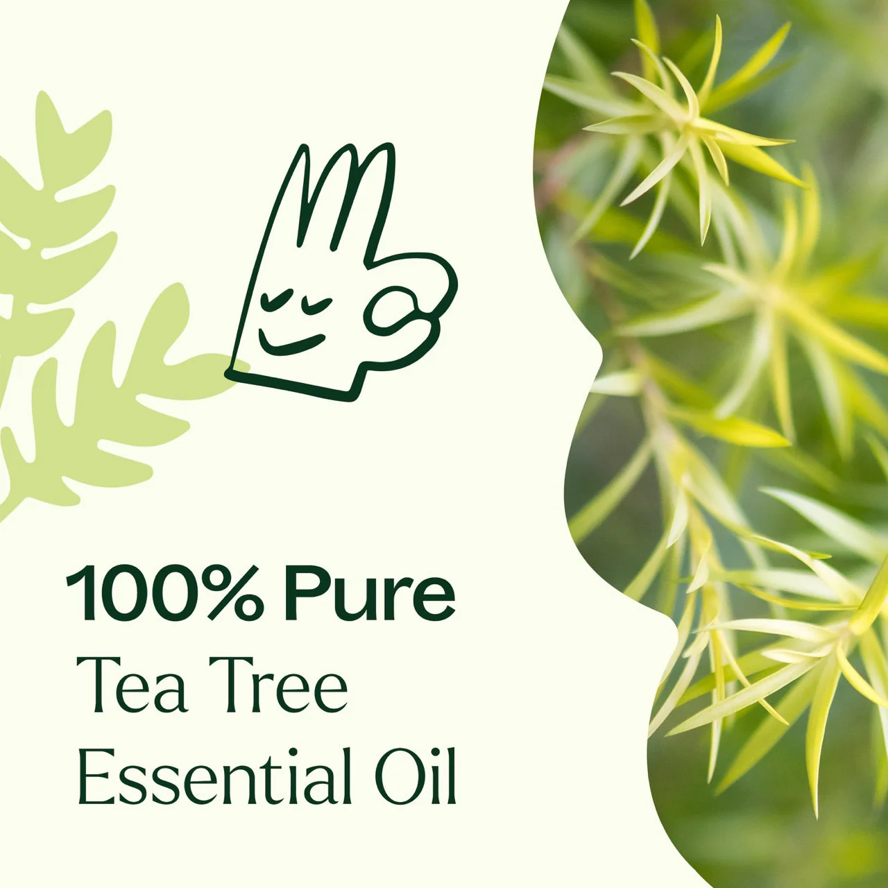Tea Tree Essential Oil - Image 4