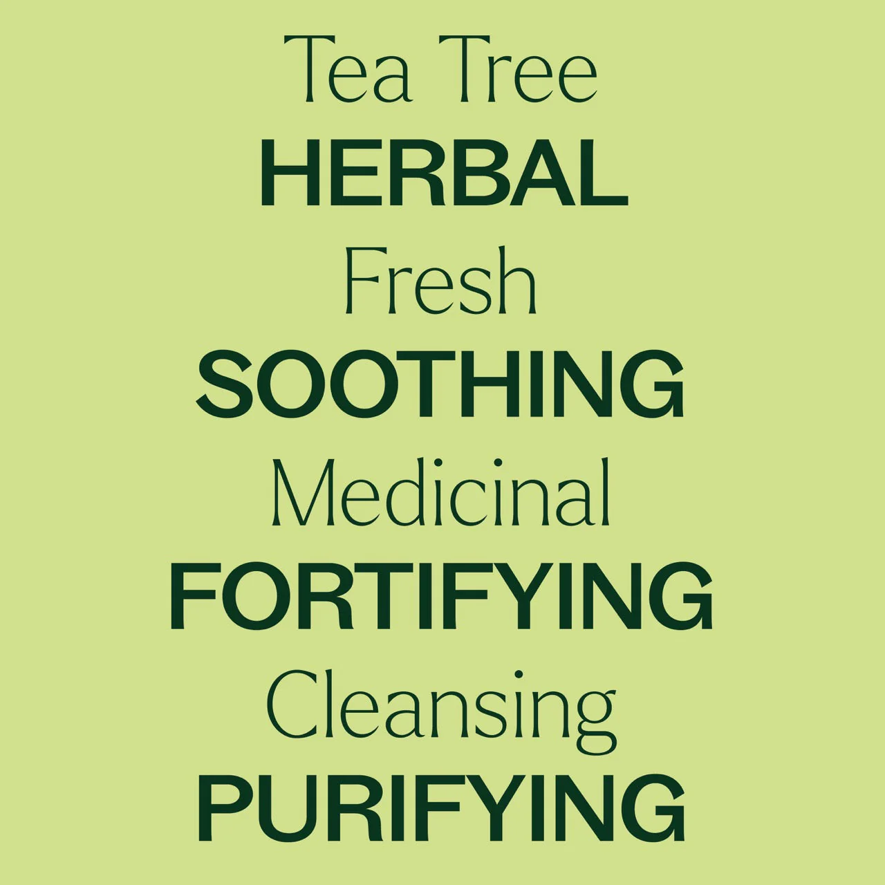 Tea Tree Essential Oil - Image 5