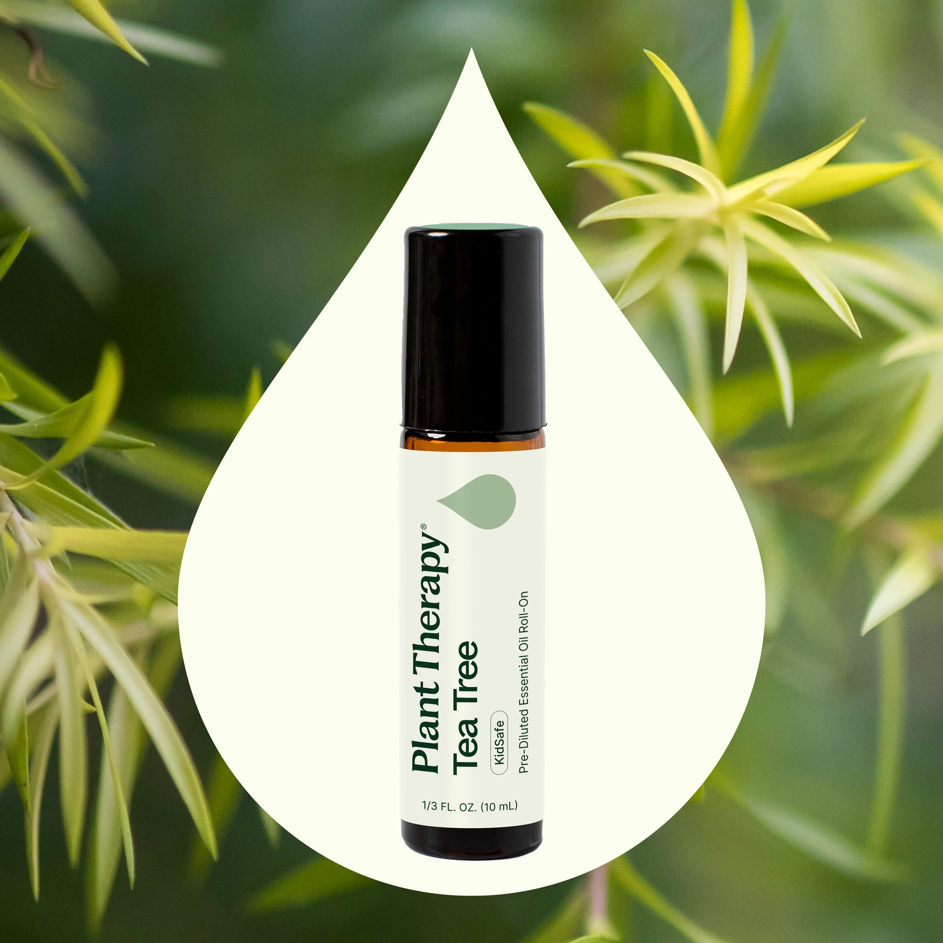 Tea Tree Essential Oil Pre-Diluted Roll-On - Image 3