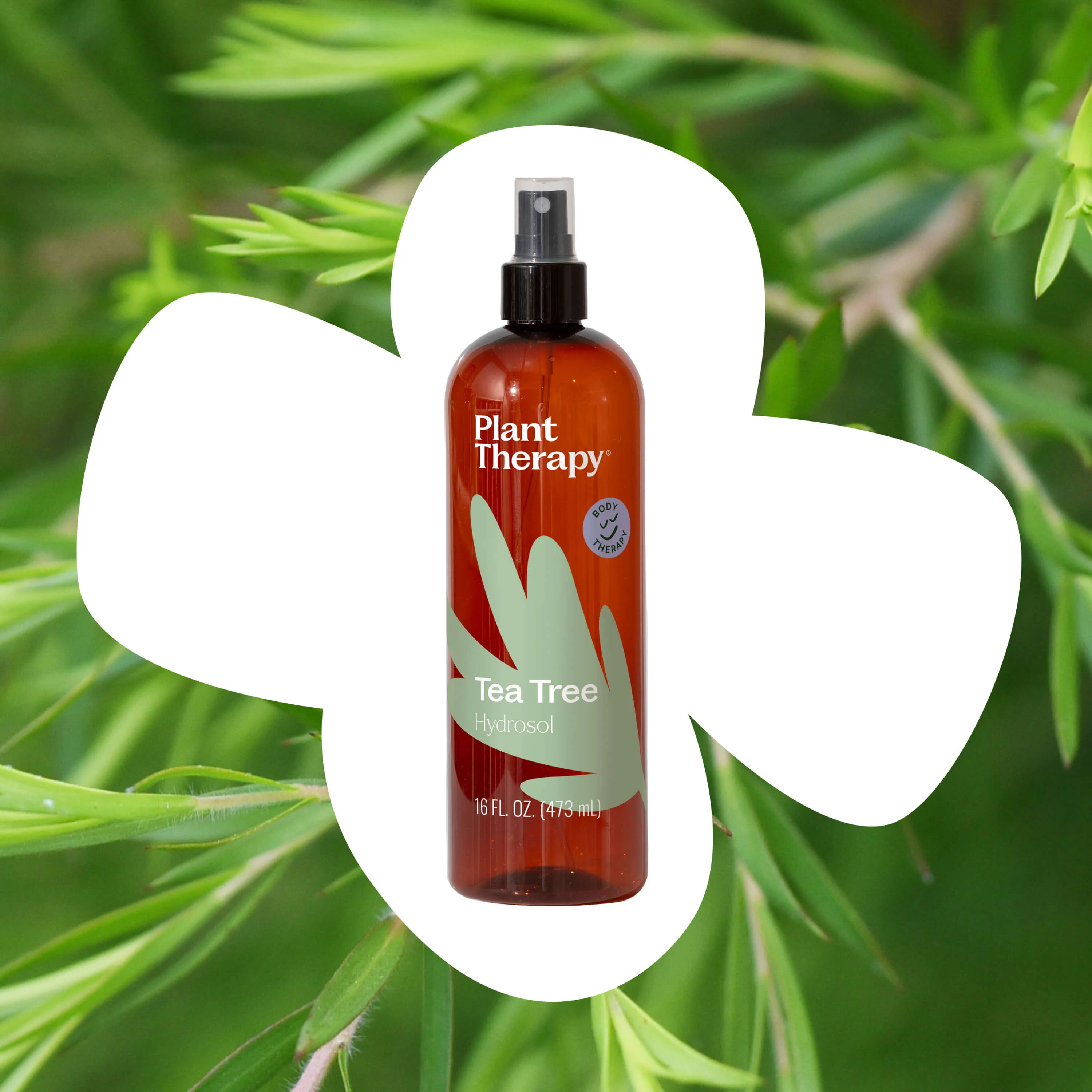 Tea Tree Hydrosol - Image 2