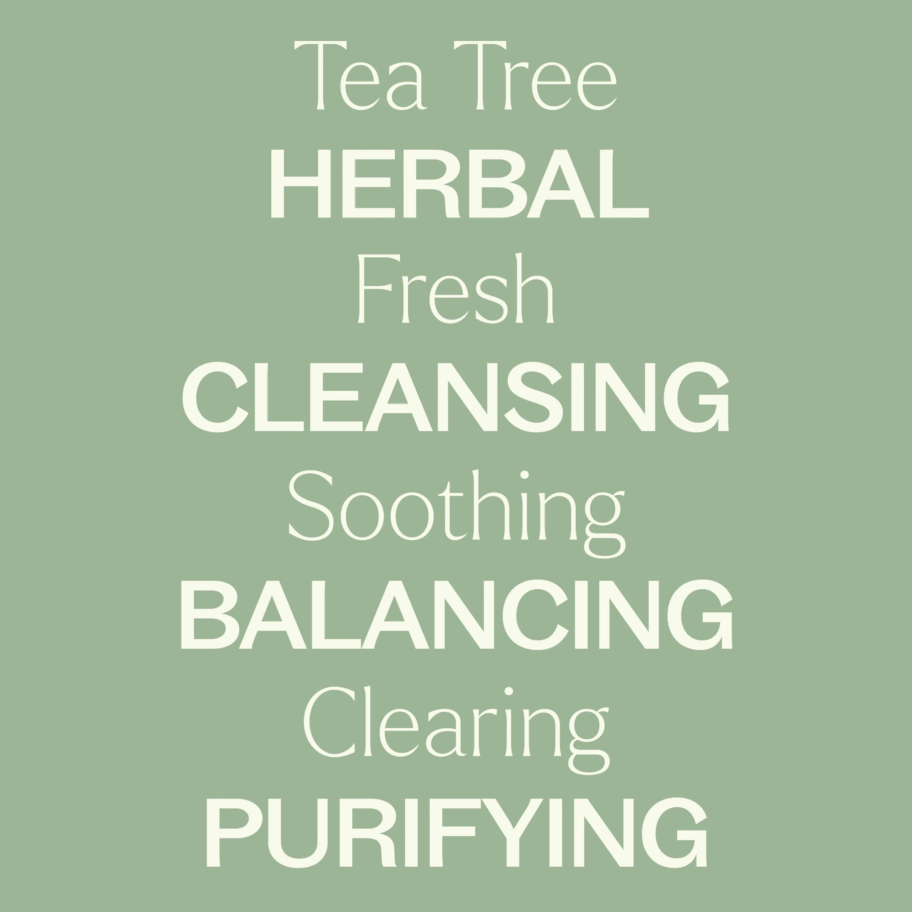Tea Tree Hydrosol - Image 5