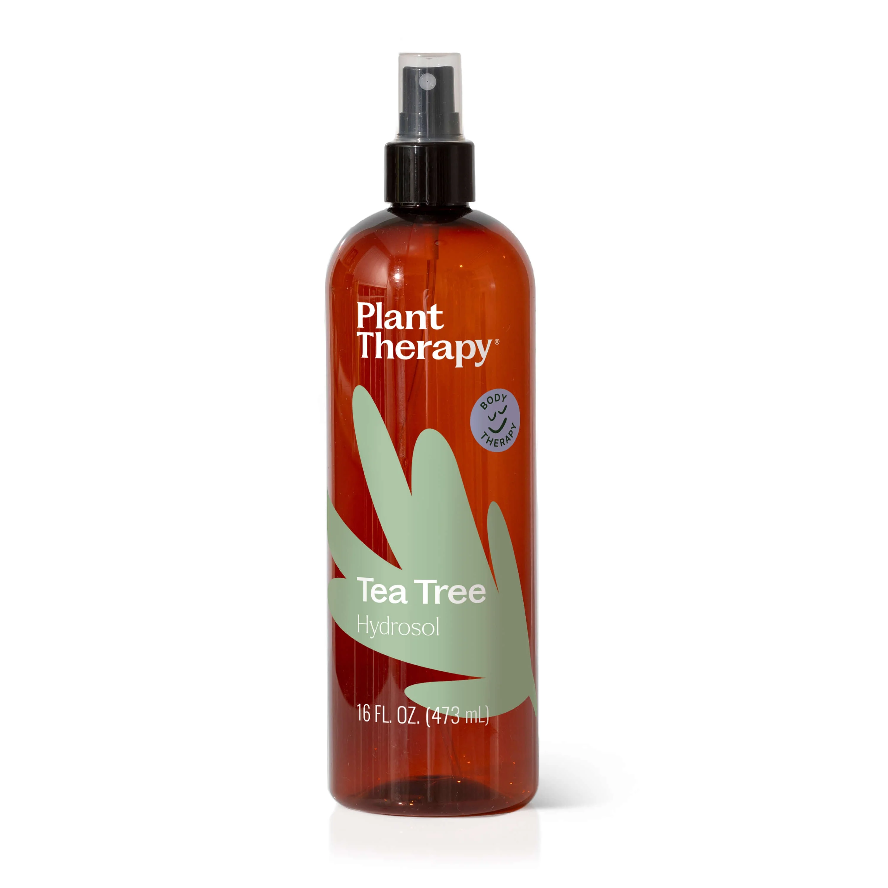 Tea Tree Hydrosol - Image 8