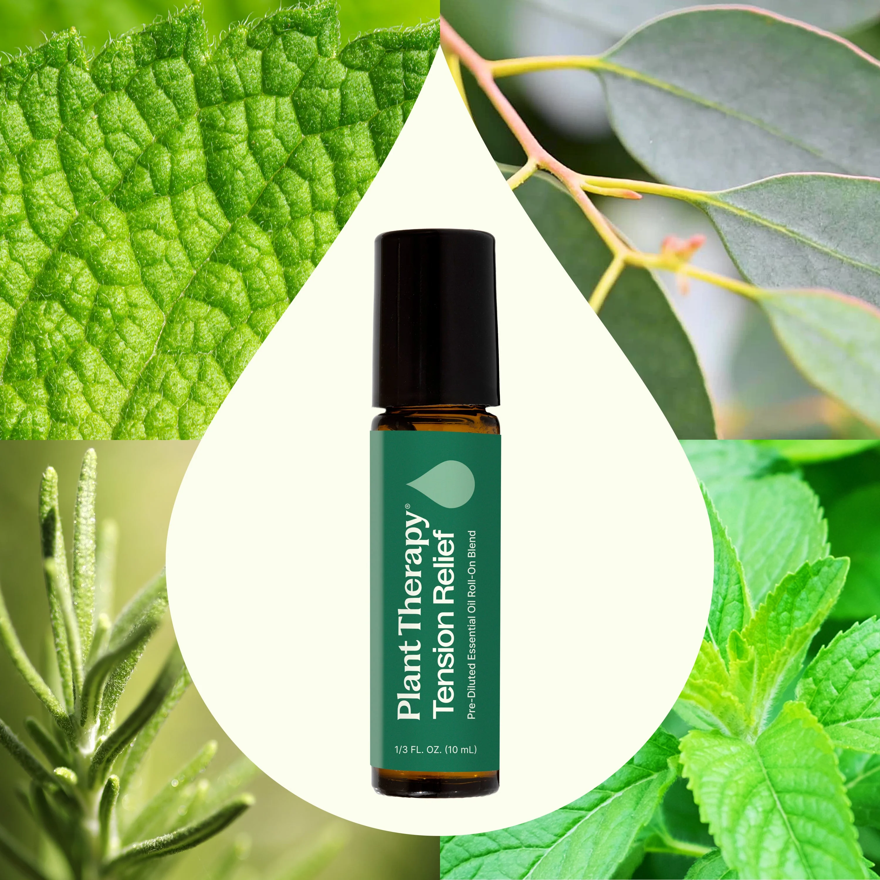 Tension Relief Essential Oil Blend Pre-Diluted Roll-On - Image 2