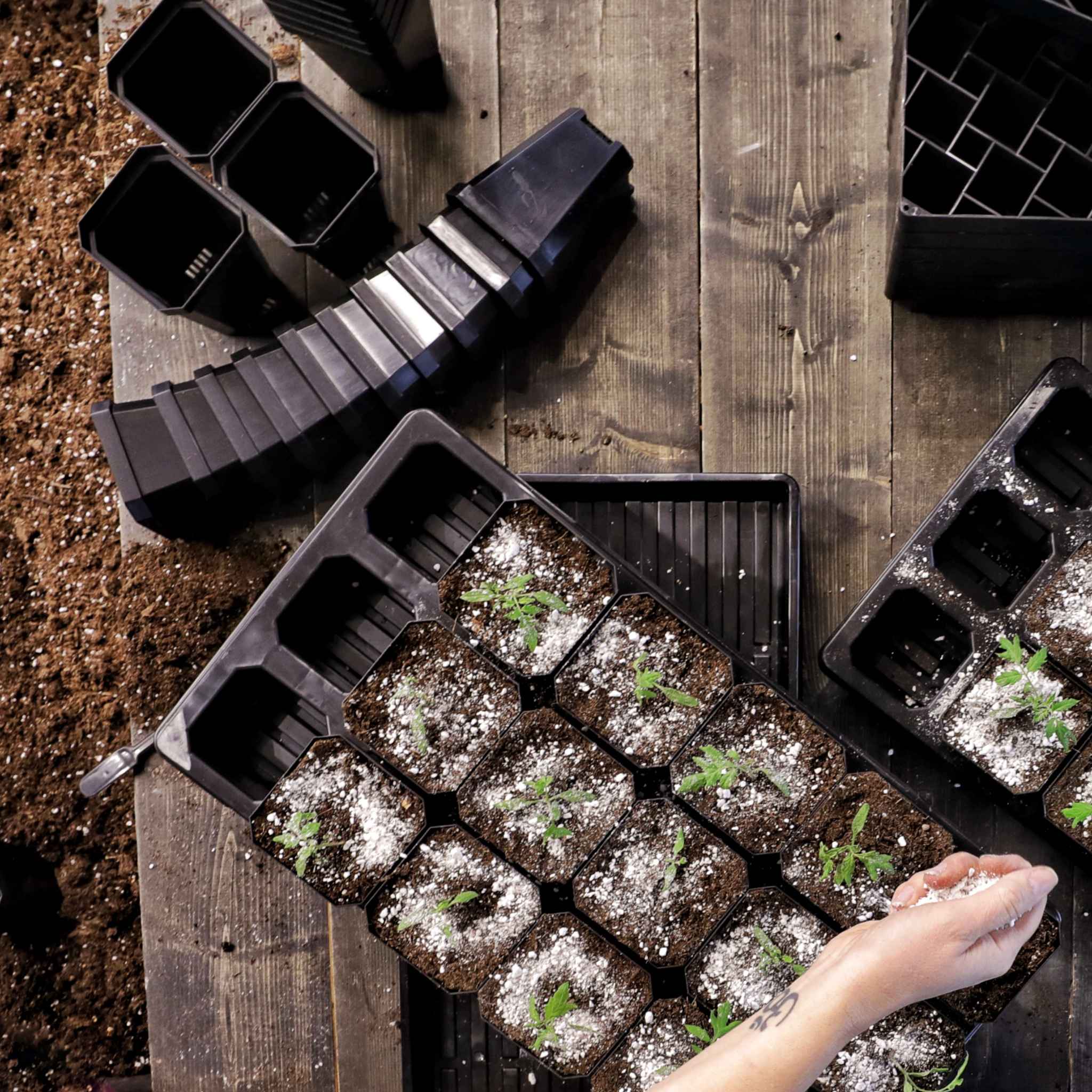 The Market Gardener Seed Starting Bundle - Image 2
