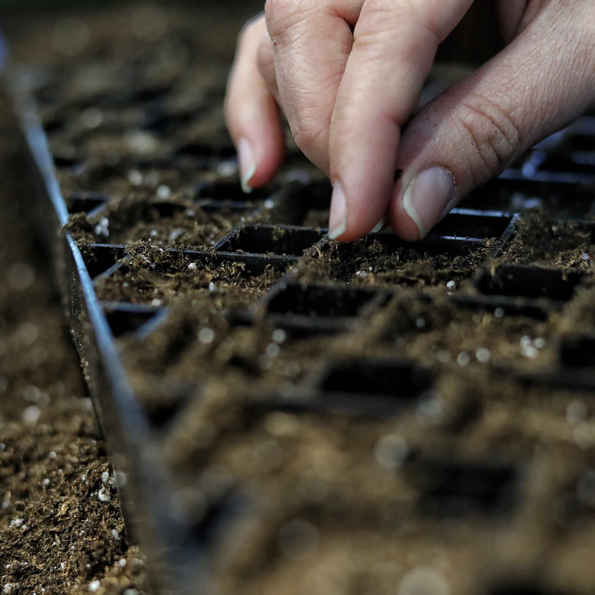 The Market Gardener Seed Starting Bundle - Image 5