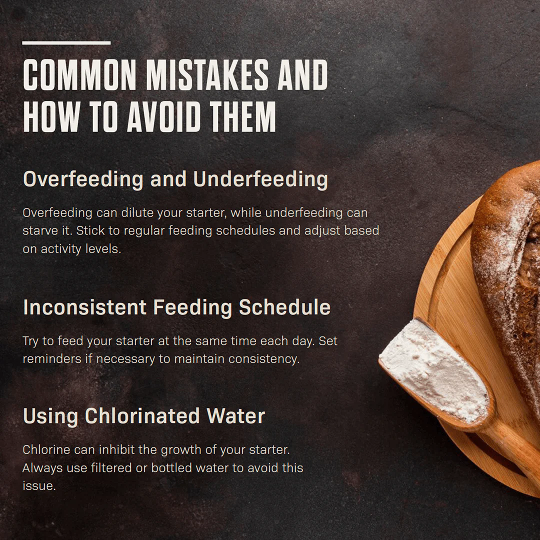 The Ultimate Guide to Taking Care of Your Sourdough Starter - Digital - Image 4