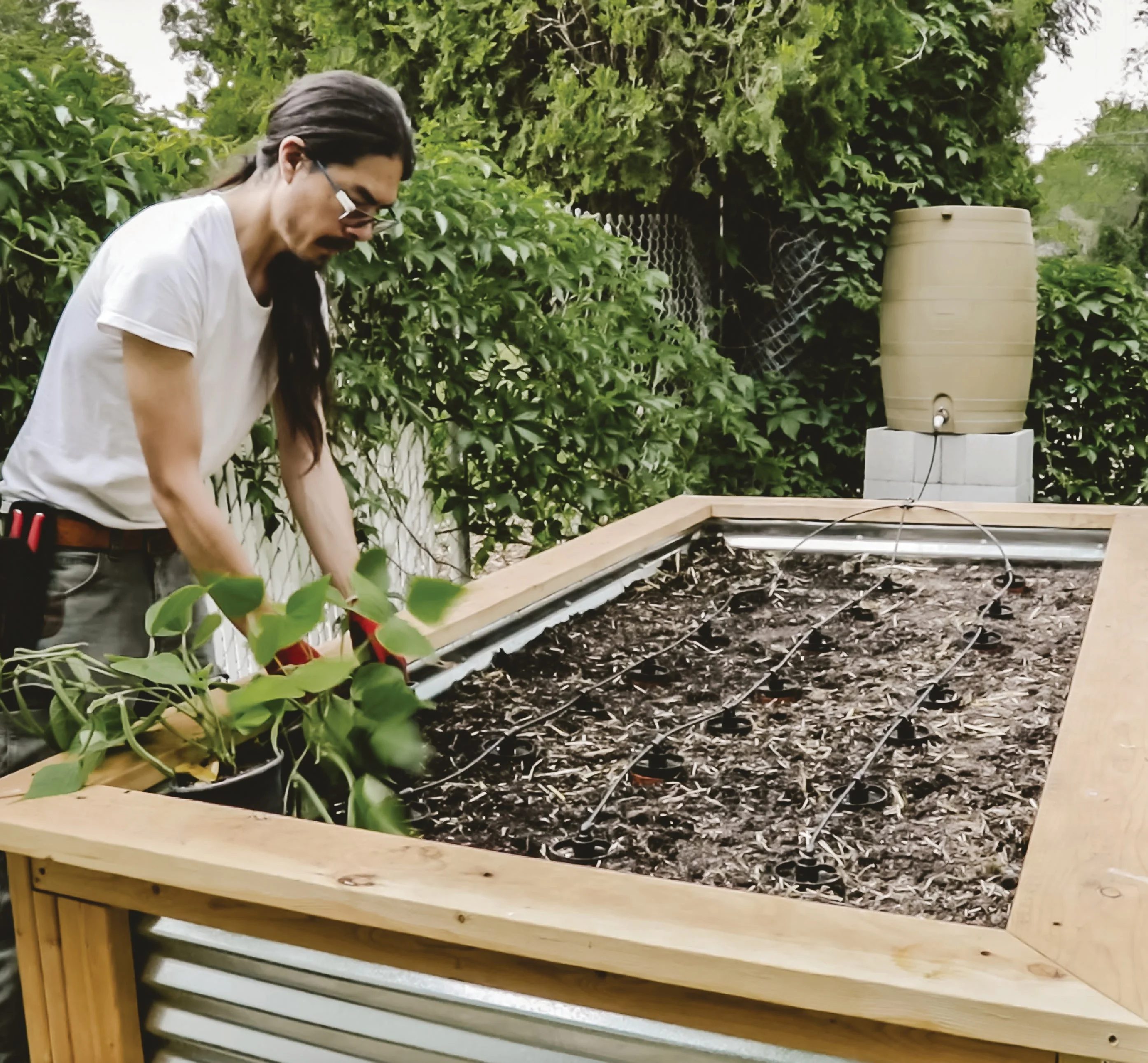 Thirsty Earth: CottaCup Automatic Olla Watering System For Your Garden - Image 3