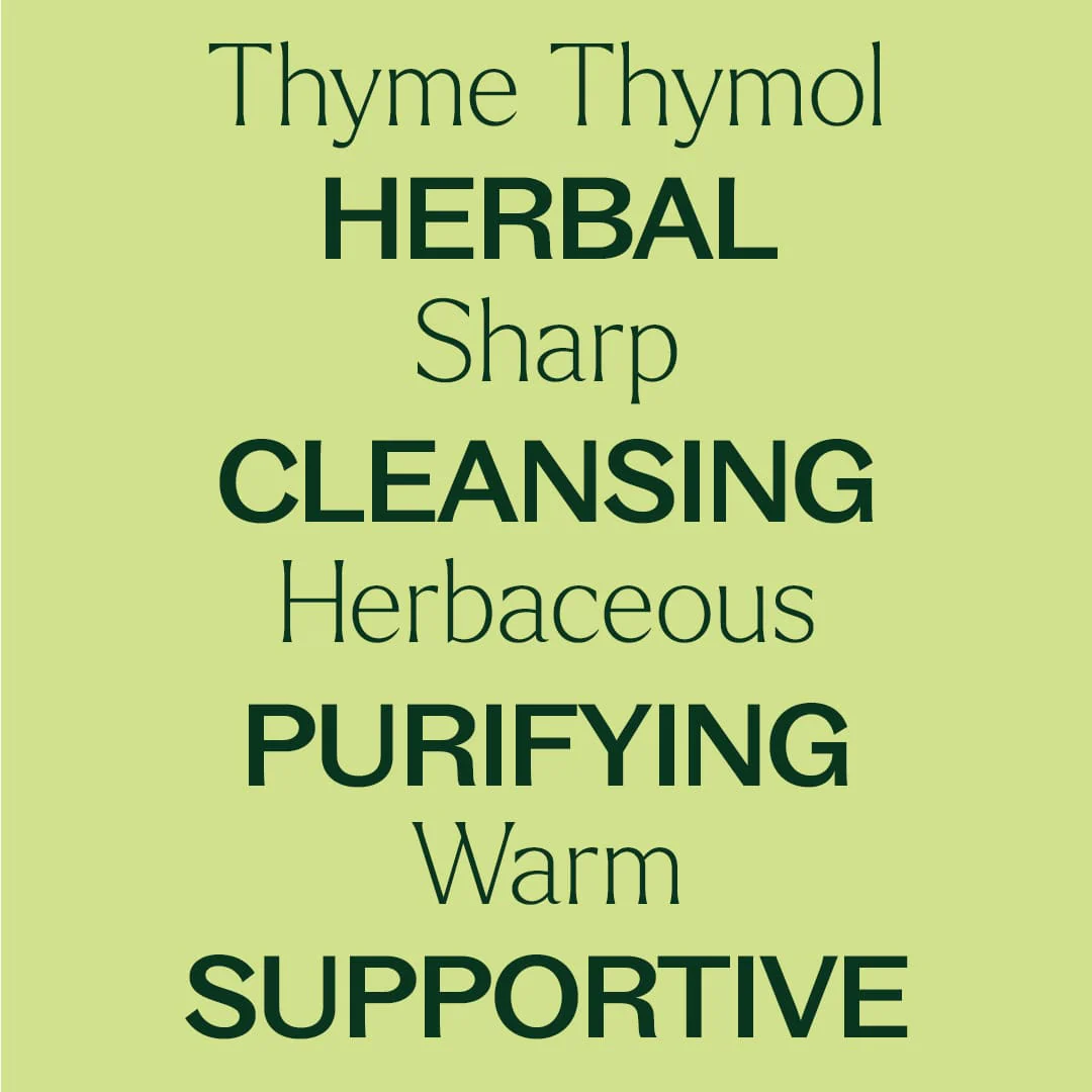 Thyme Thymol Essential Oil - Image 5