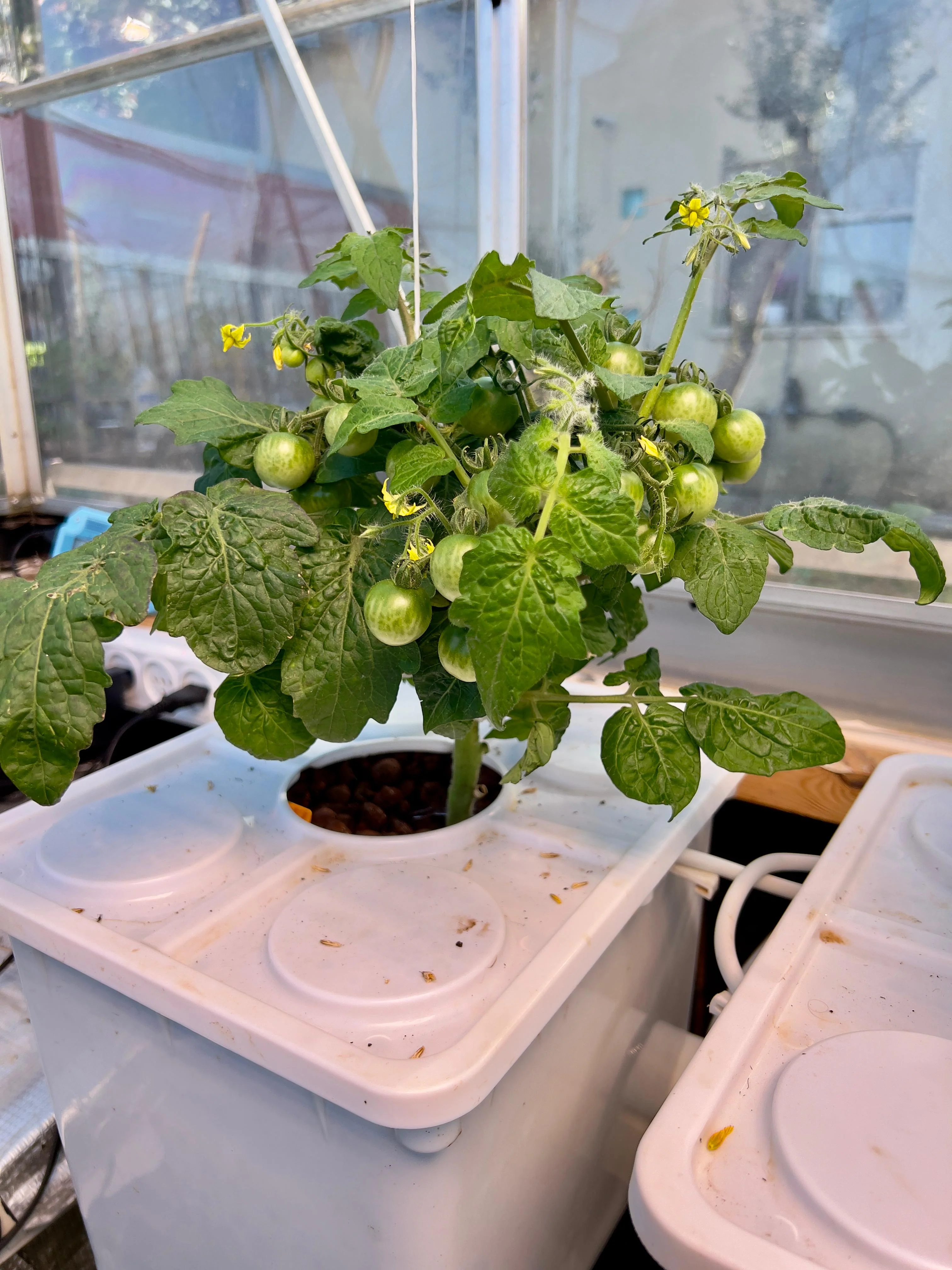 Tobato 5 – Dutch Bucket Hydroponic Growing System - Image 9