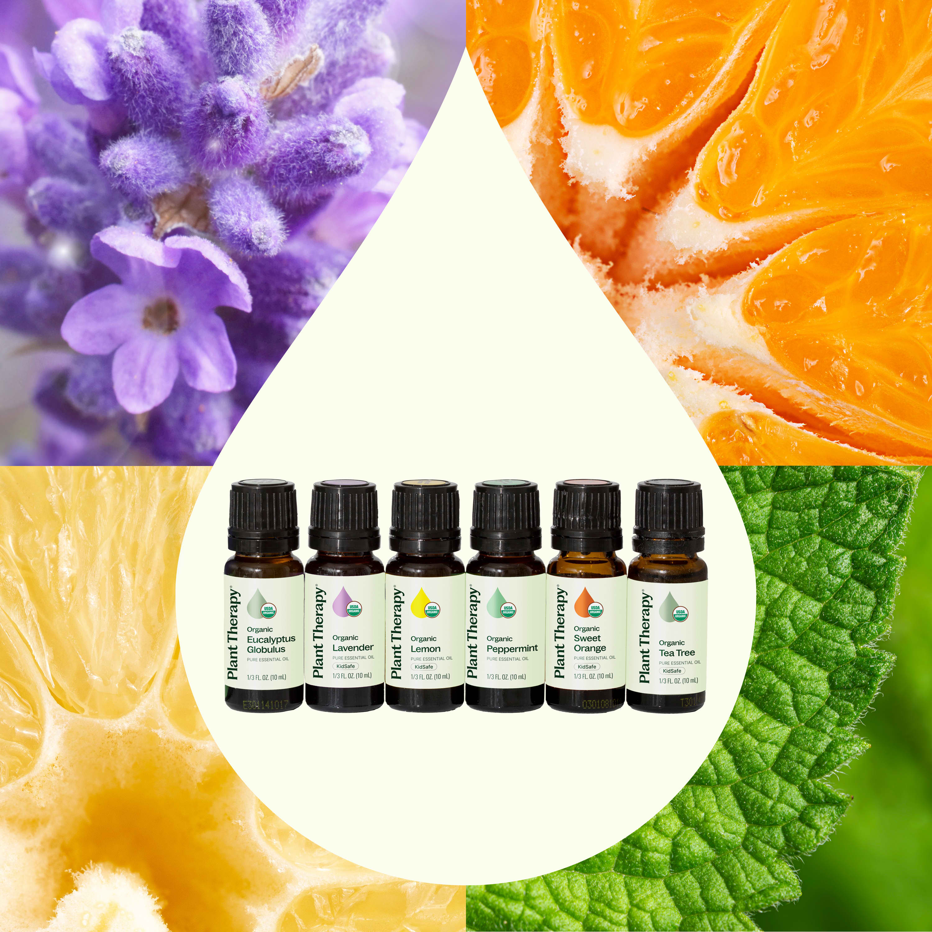 Top 6 Organic Singles Essential Oil Set - Image 2