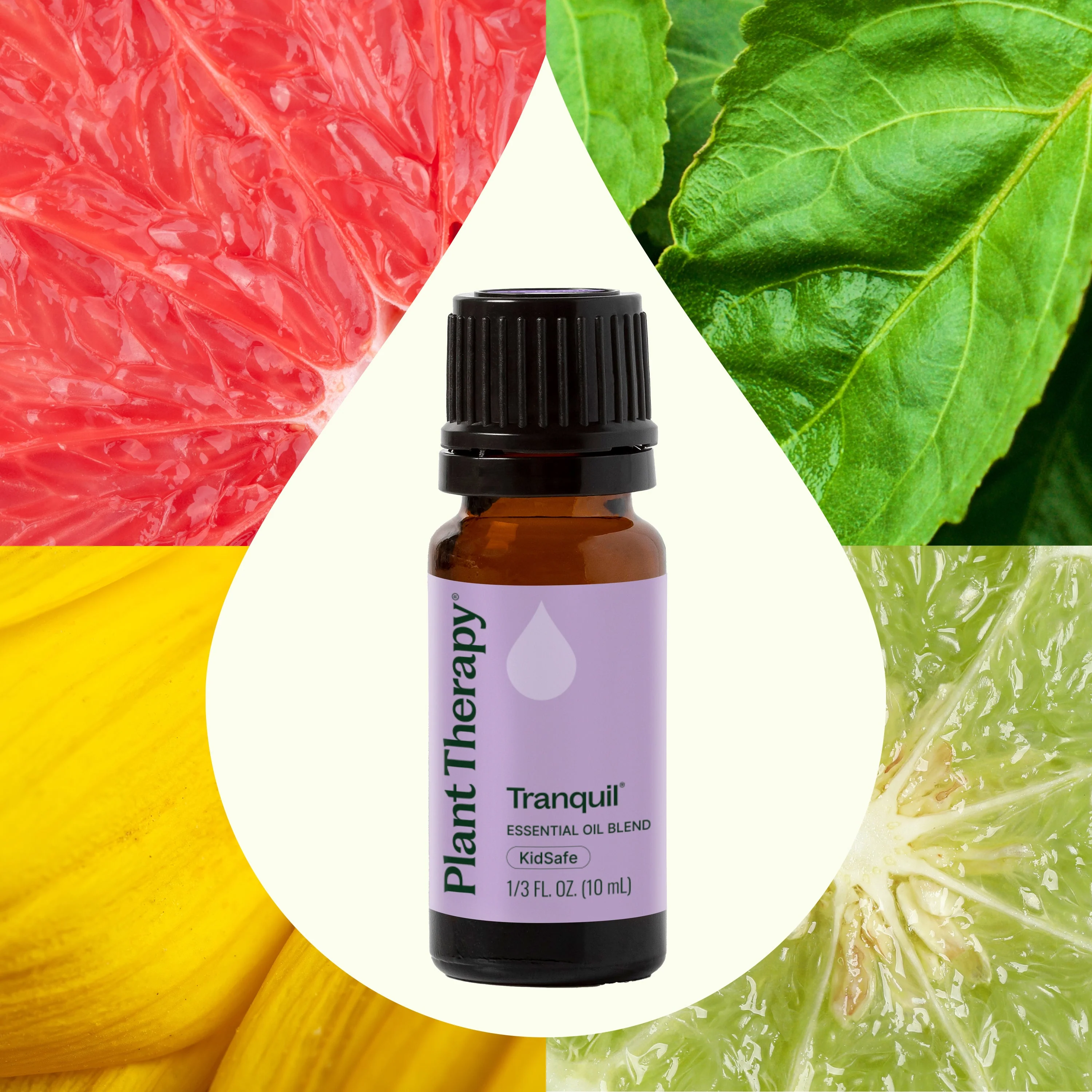Tranquil Essential Oil Blend - Image 2