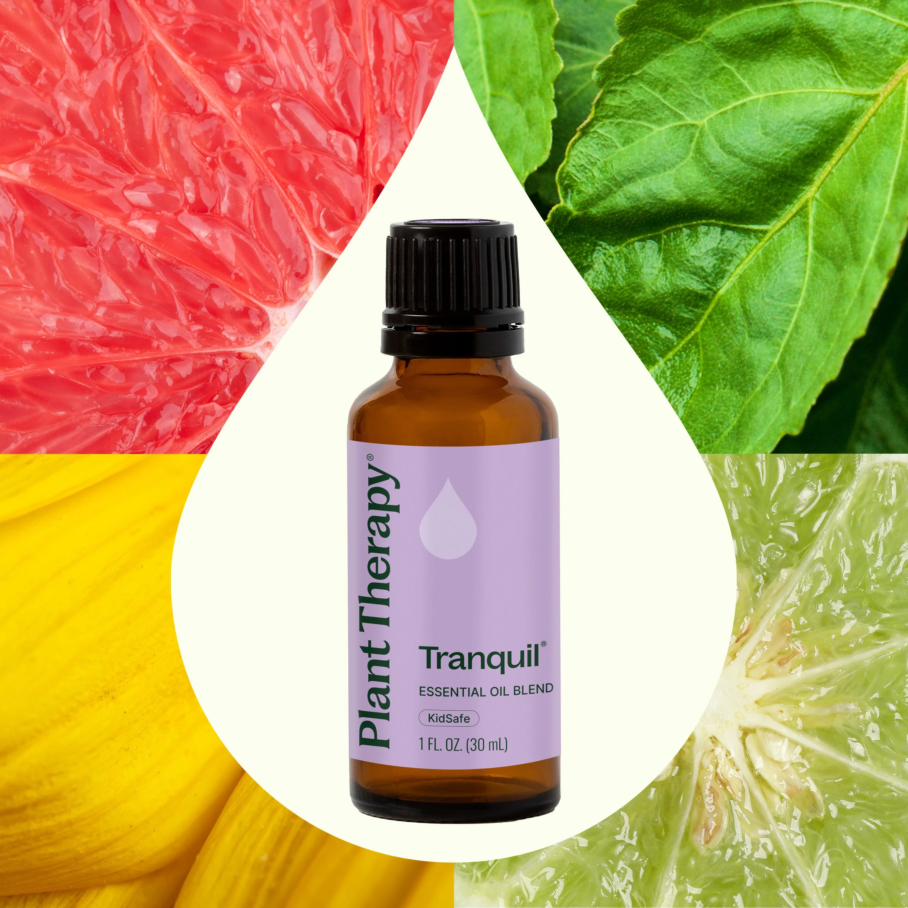 Tranquil Essential Oil Blend - Image 5
