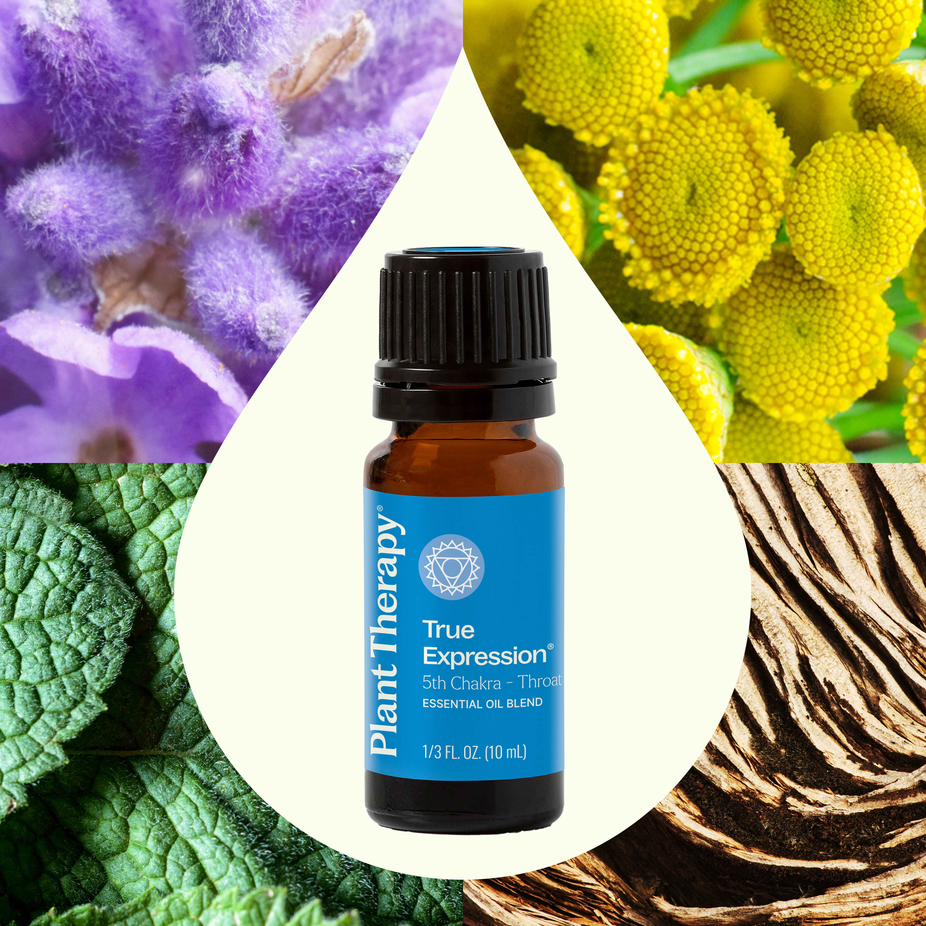 True Expression (Throat Chakra) Essential Oil - Image 2