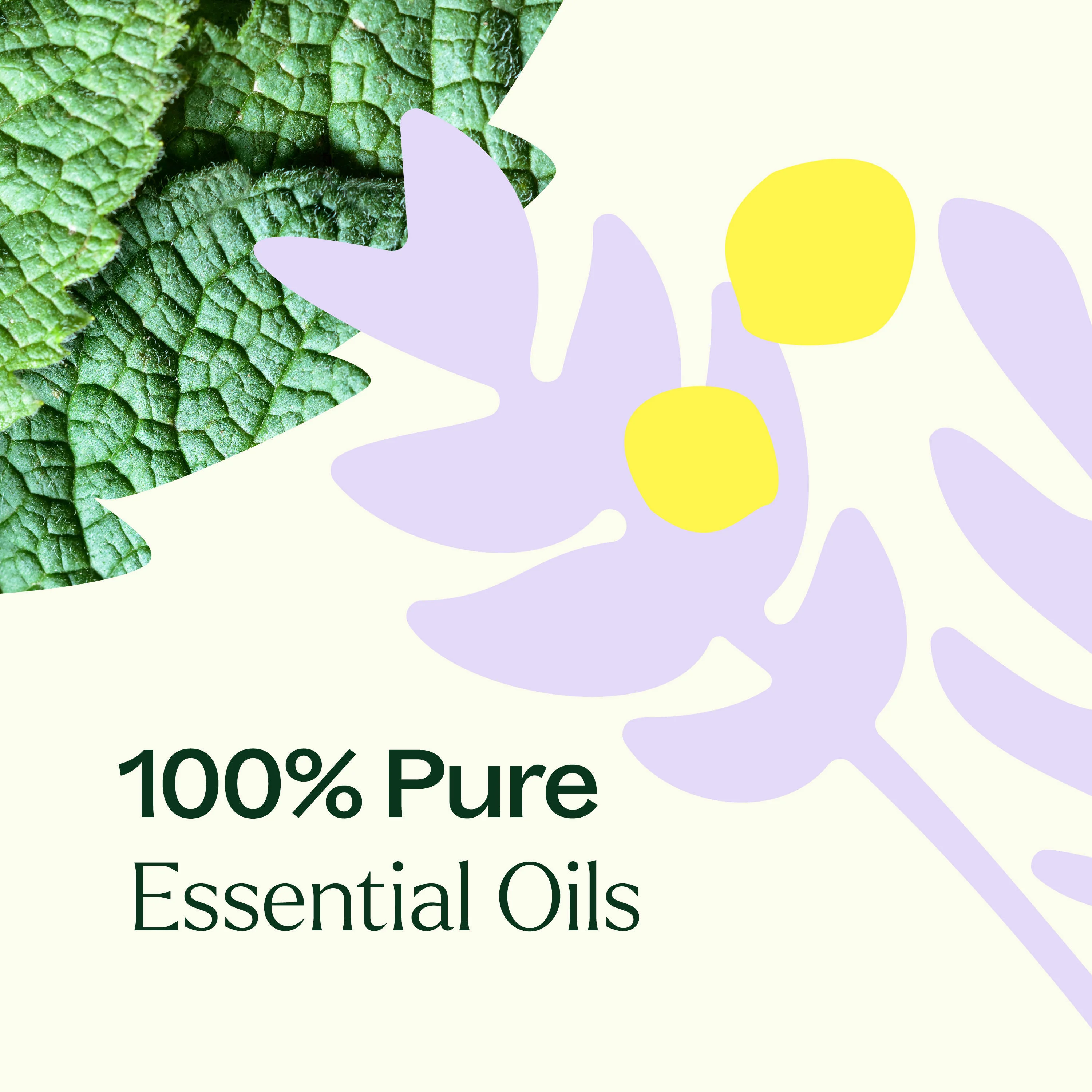 True Expression (Throat Chakra) Essential Oil - Image 4