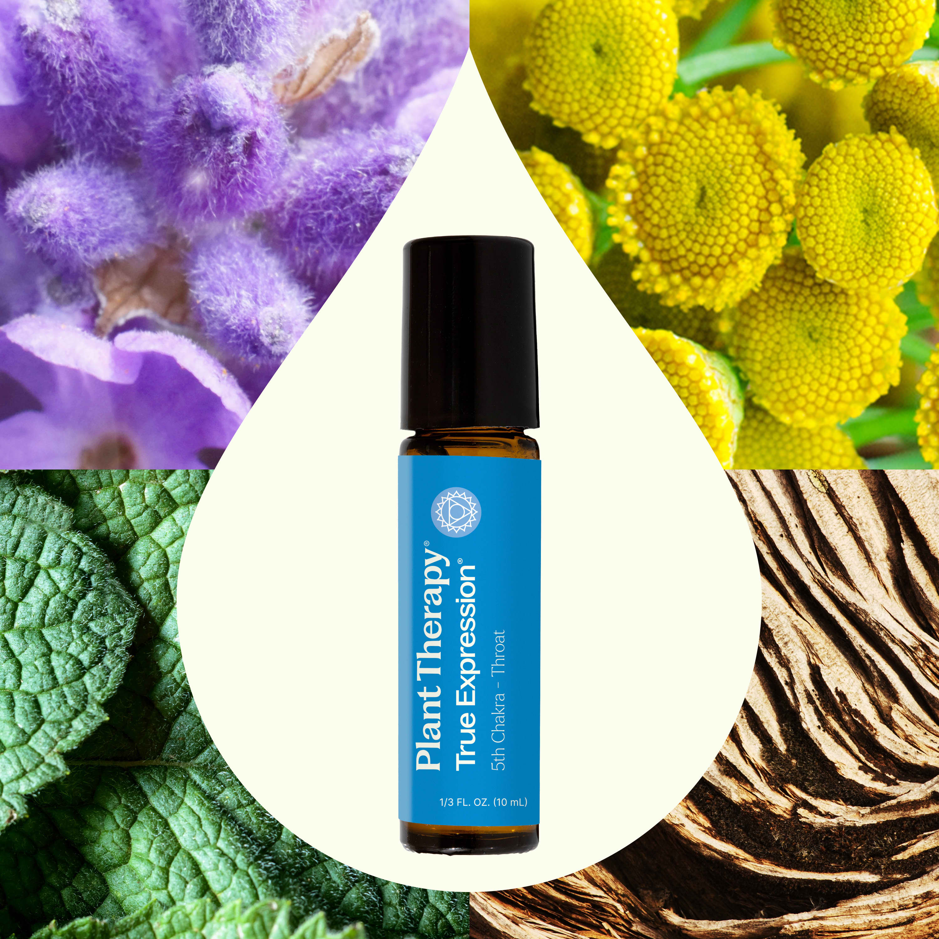 True Expression (Throat Chakra) Essential Oil Pre-Diluted Roll-On - Image 2