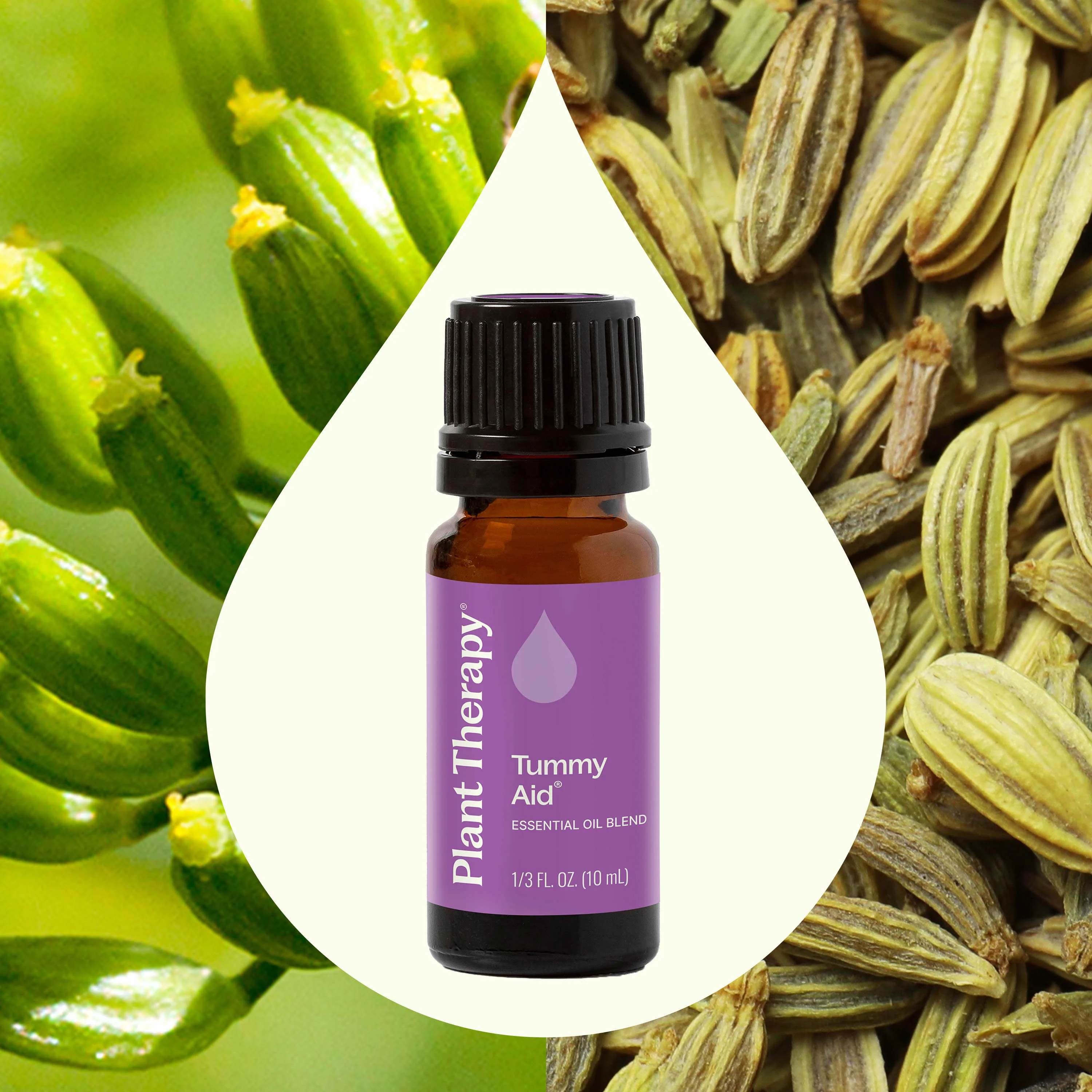 Tummy Aid Essential Oil Blend - Image 2