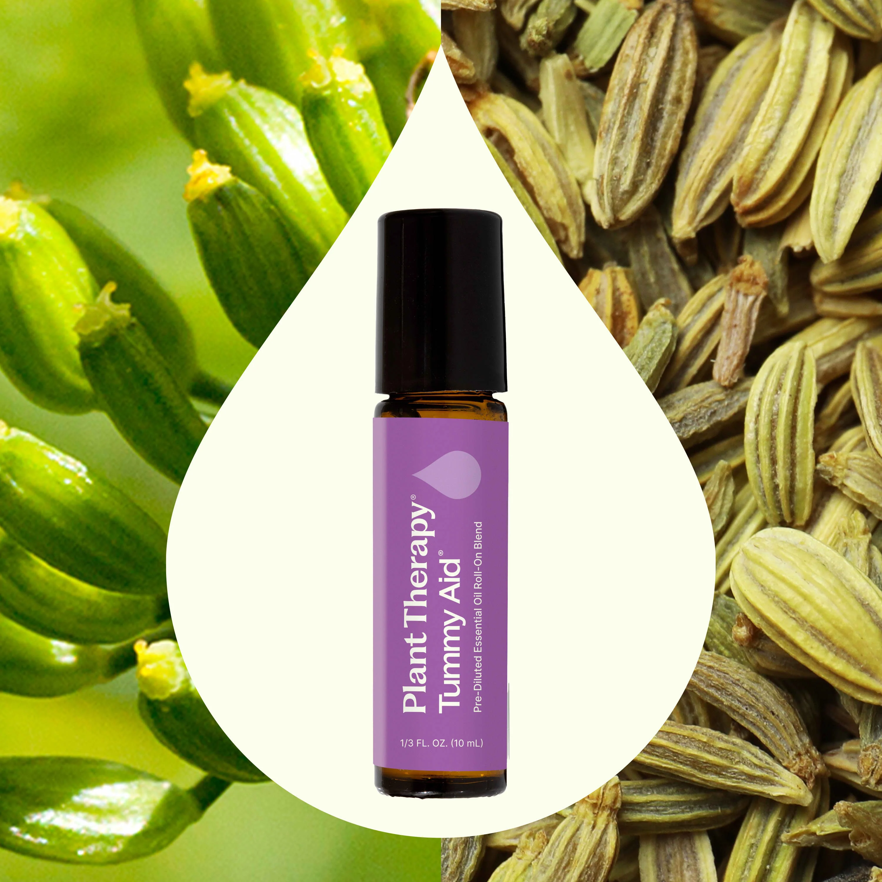 Tummy Aid Essential Oil Pre-Diluted Roll-On Blend - Image 2