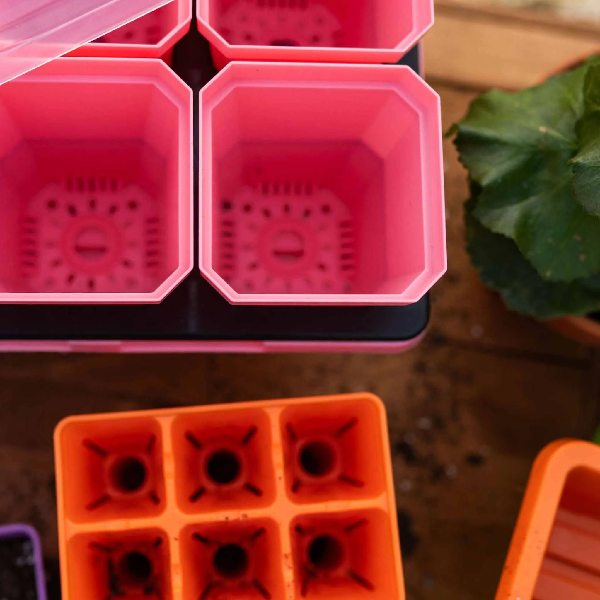 Ultimate Backyard Gardener Bundle - Image 7