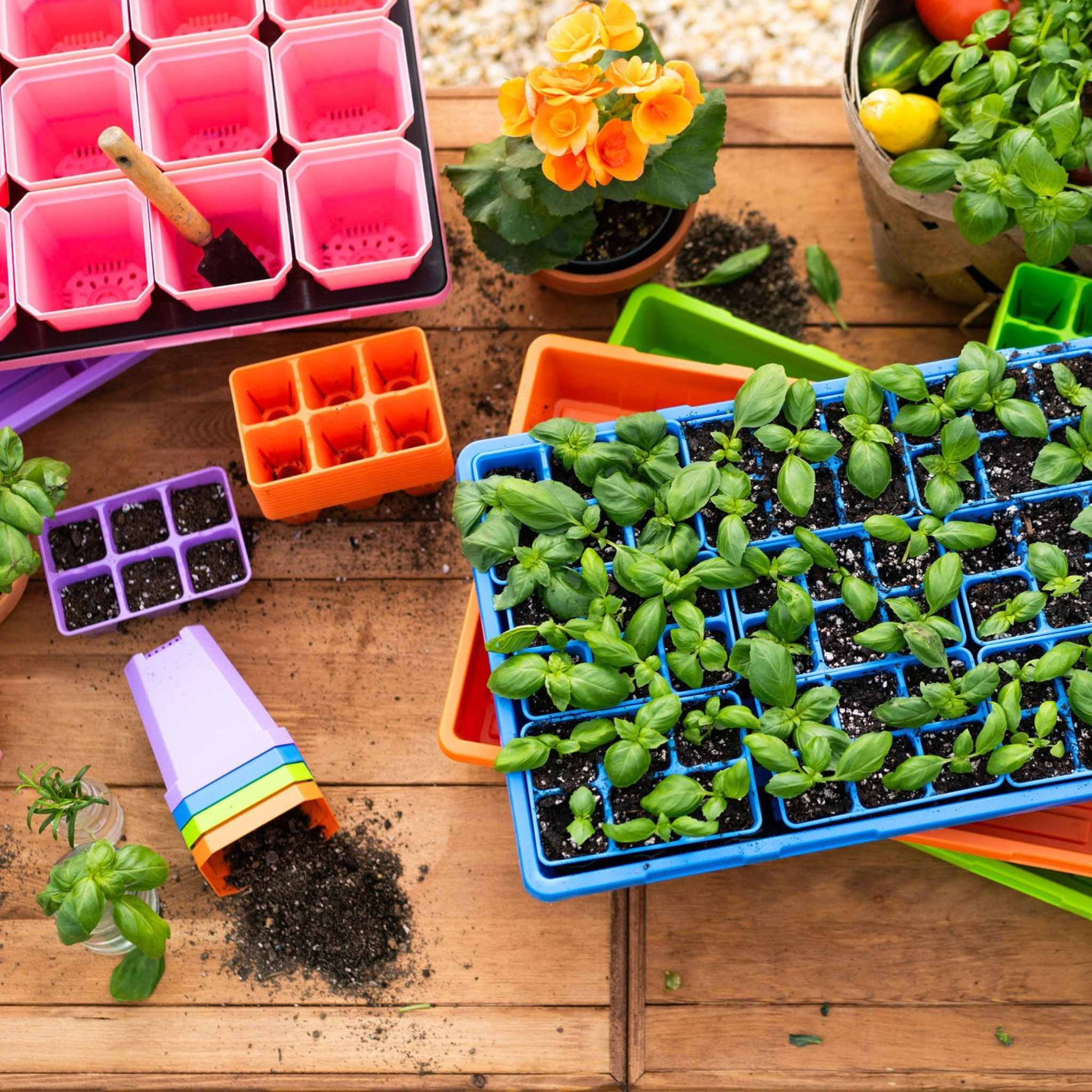 Ultimate Backyard Gardener Bundle - Image 8