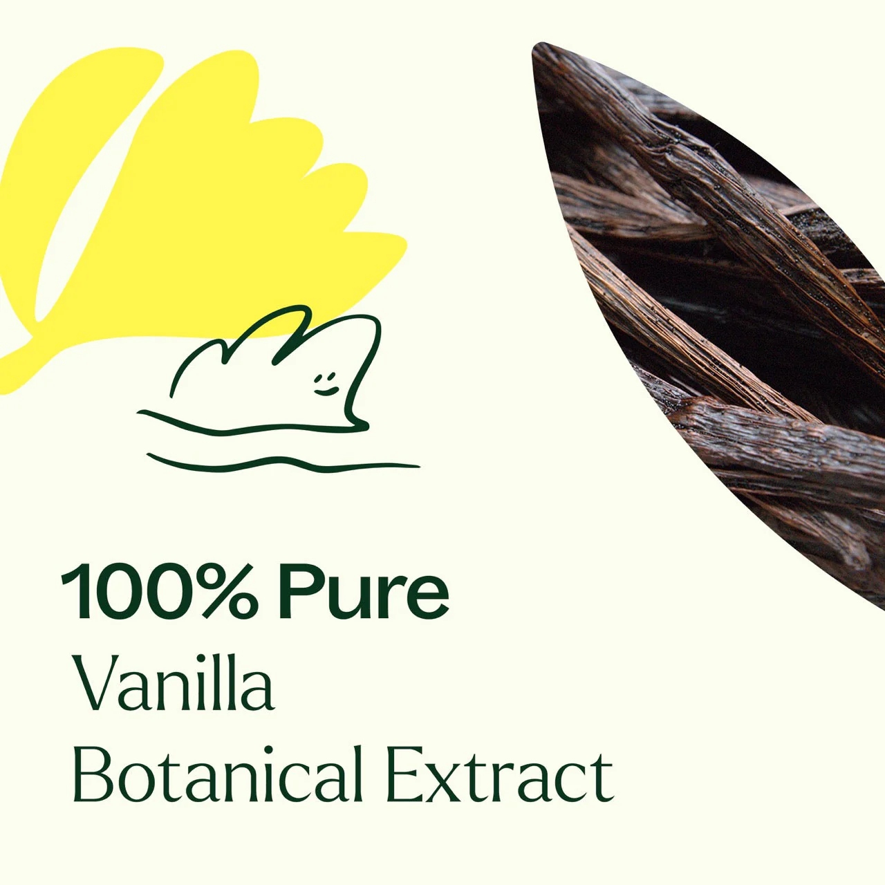 Vanilla Botanical Extract - Image 4