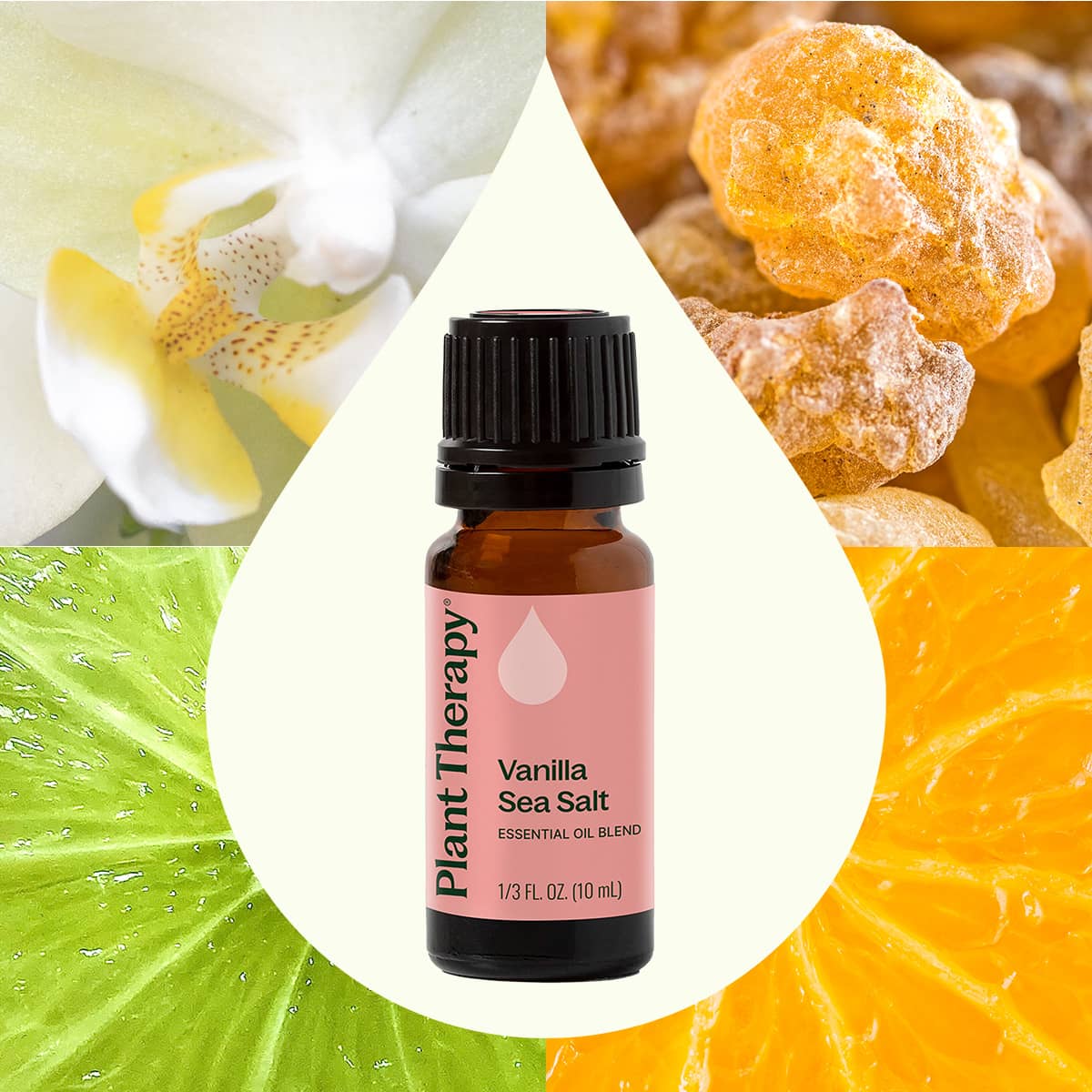 Vanilla Sea Salt Essential Oil Blend - Image 2