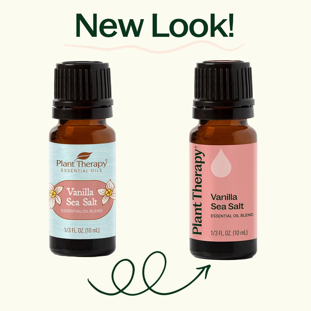 Vanilla Sea Salt Essential Oil Blend - Image 4