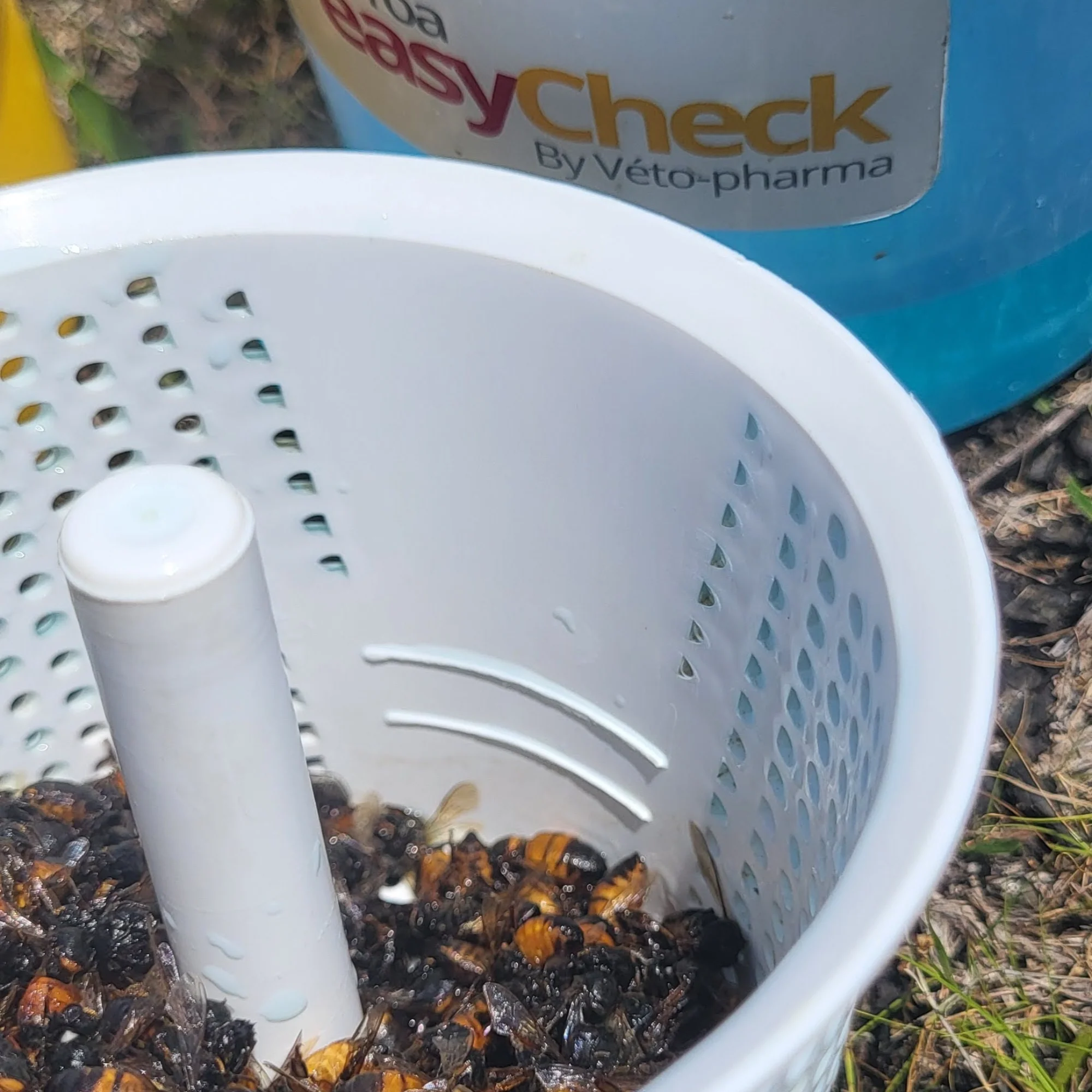 Varroa Easy Check - Image 10