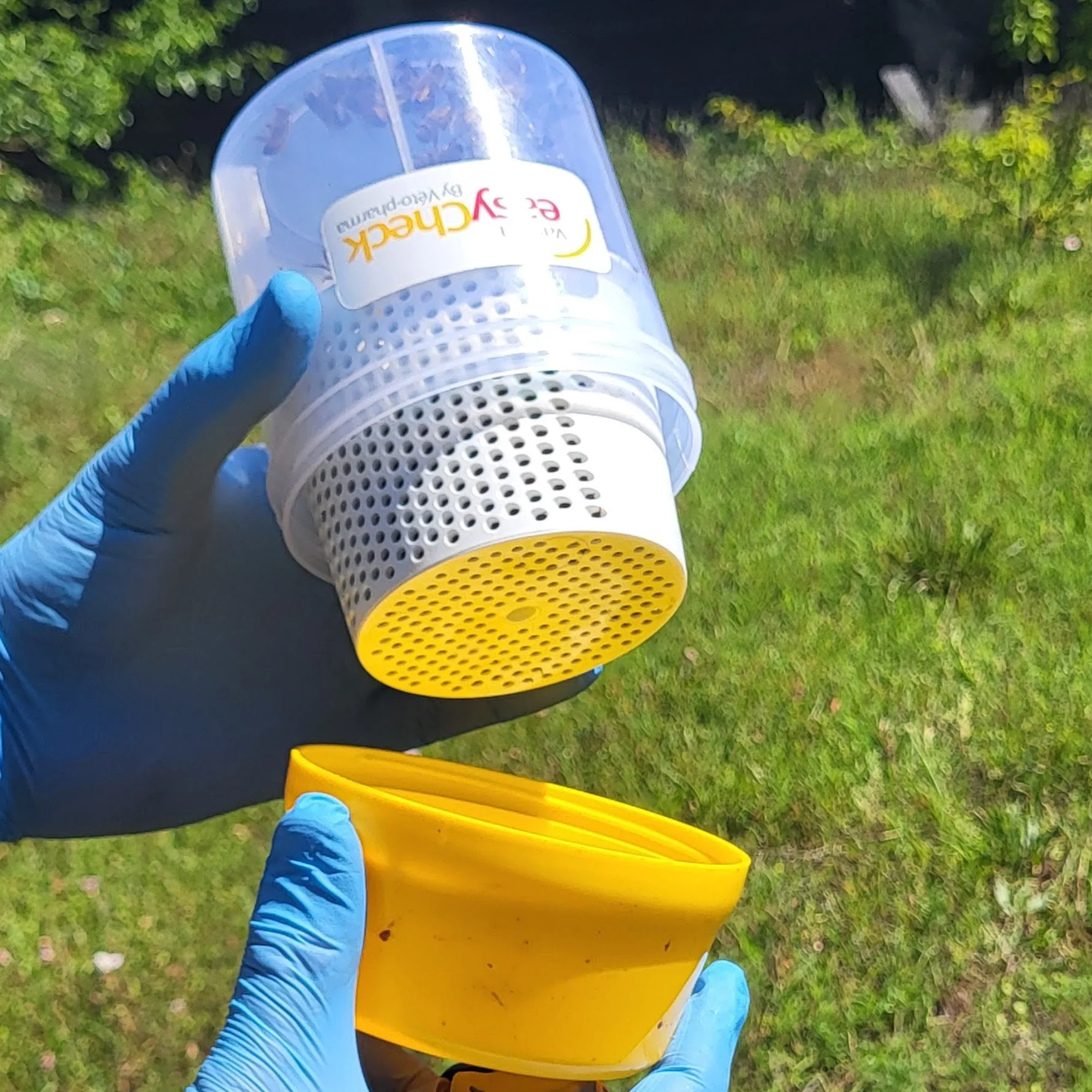 Varroa Easy Check - Image 11
