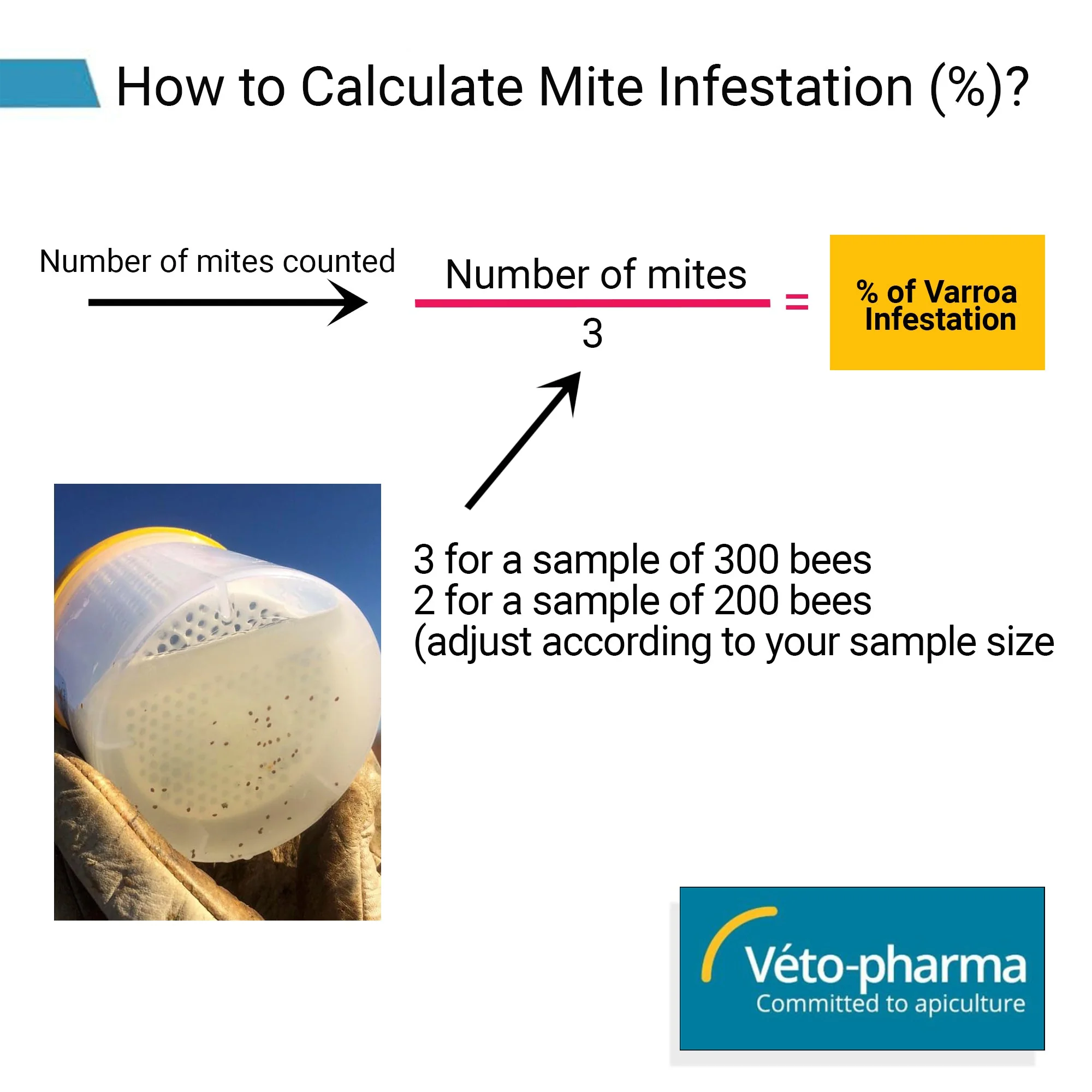 Varroa Easy Check - Image 3