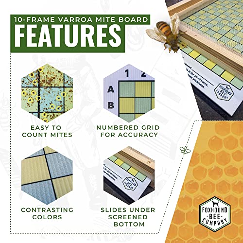 Varroa Mite Board - Image 15