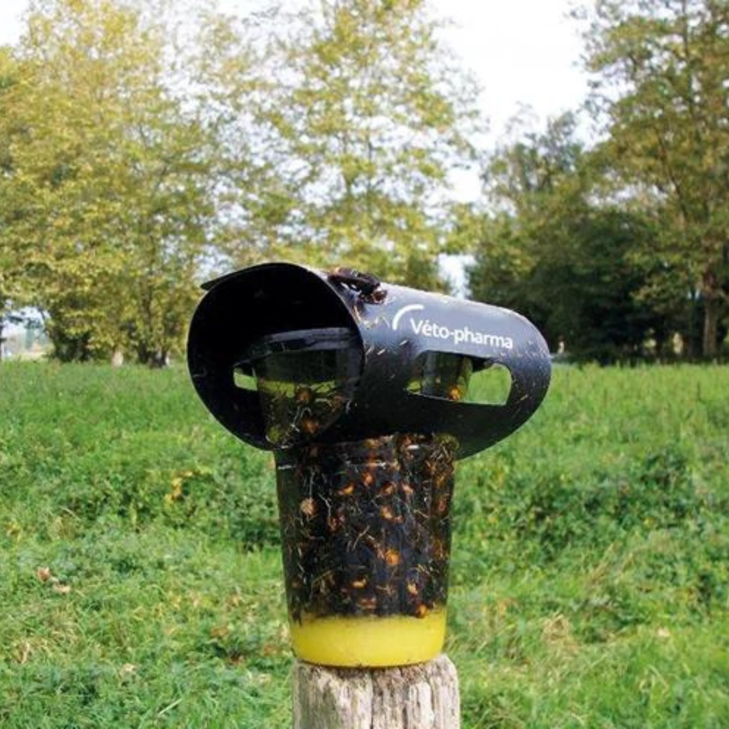 Vespa Catch: Asian Hornet Trap - Image 2