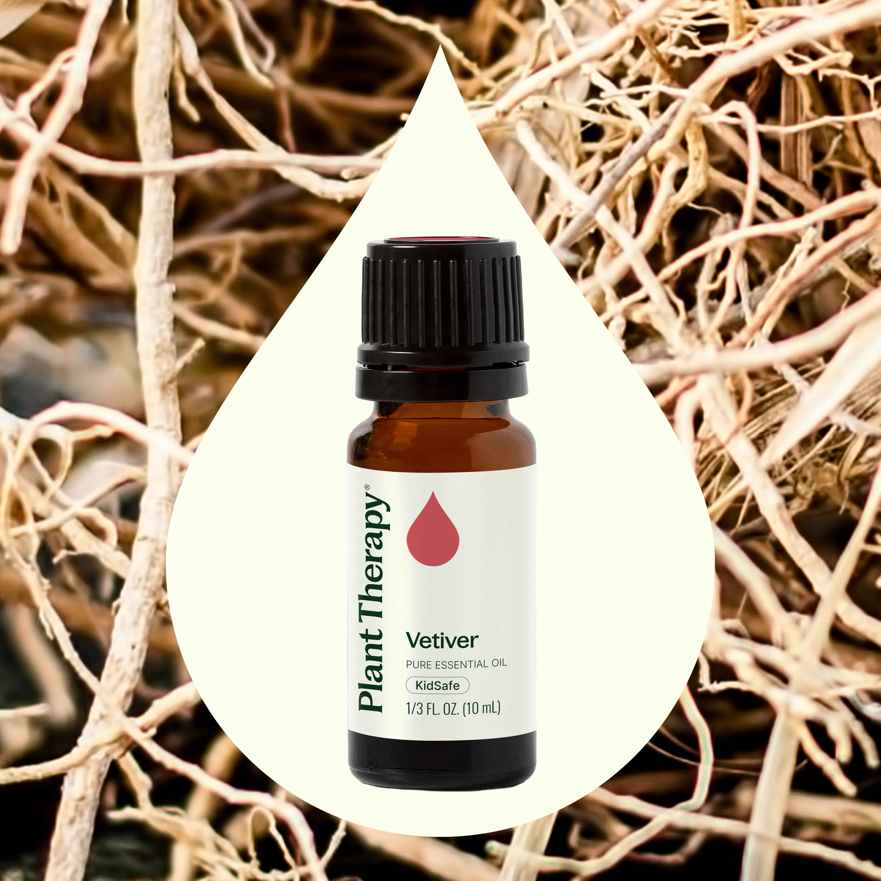 Vetiver Essential Oil - Image 2